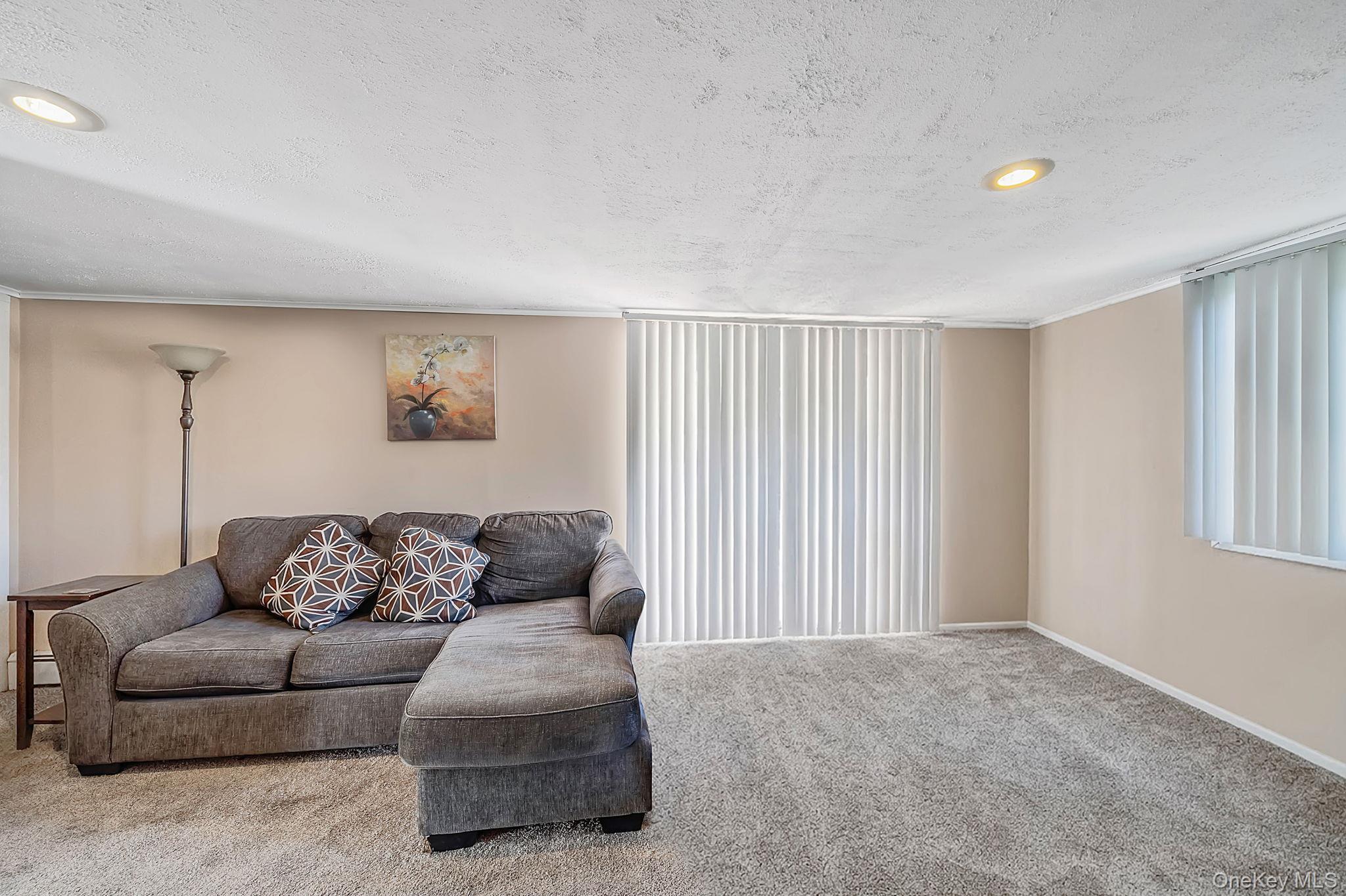 Single Family Curtis Drive  Suffolk County, NY 11789, MLS-1011128-32