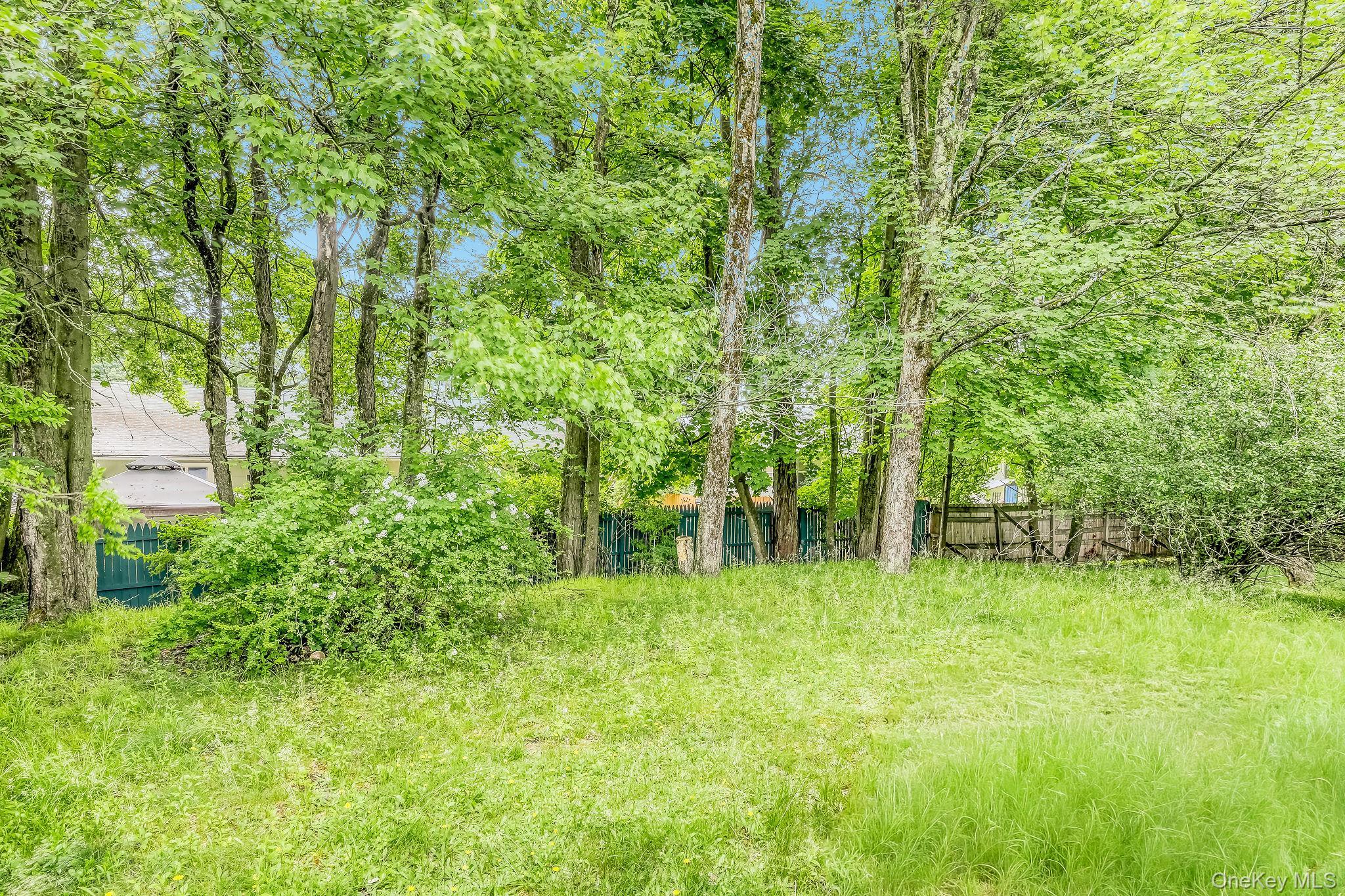 Single Family York Avenue Sullivan County, NY 12701, MLS-1011192-2