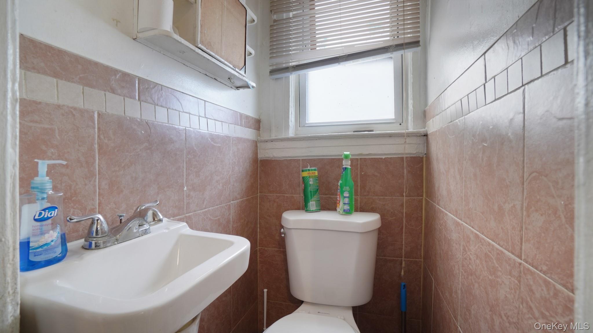 Single Family 173rd Street Queens, NY 11433, MLS-1011262-17