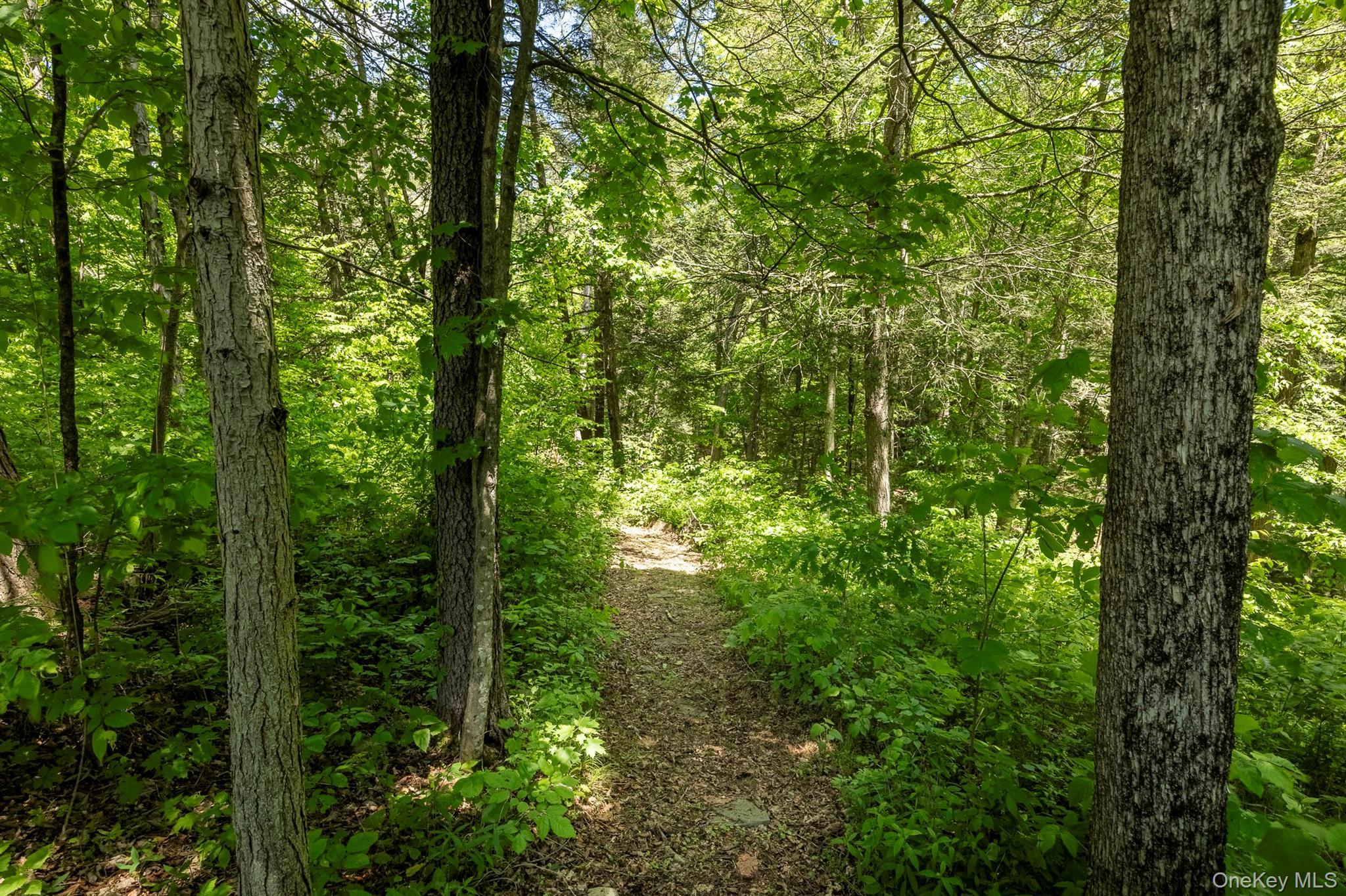 Single Family Near Road  Columbia County, NY 12571, MLS-1011393-22