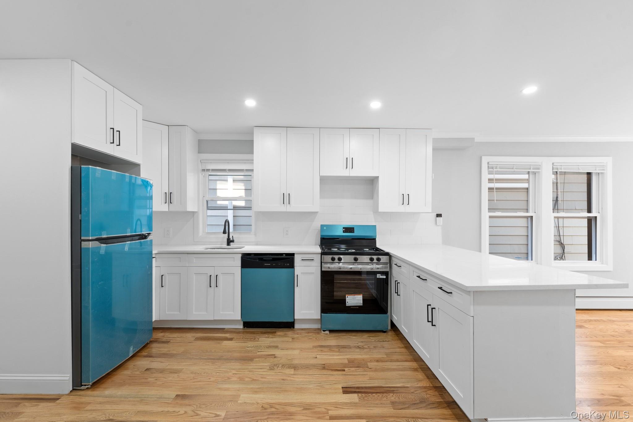 Single Family 116th Avenue Queens, NY 11436, MLS-1011399-3