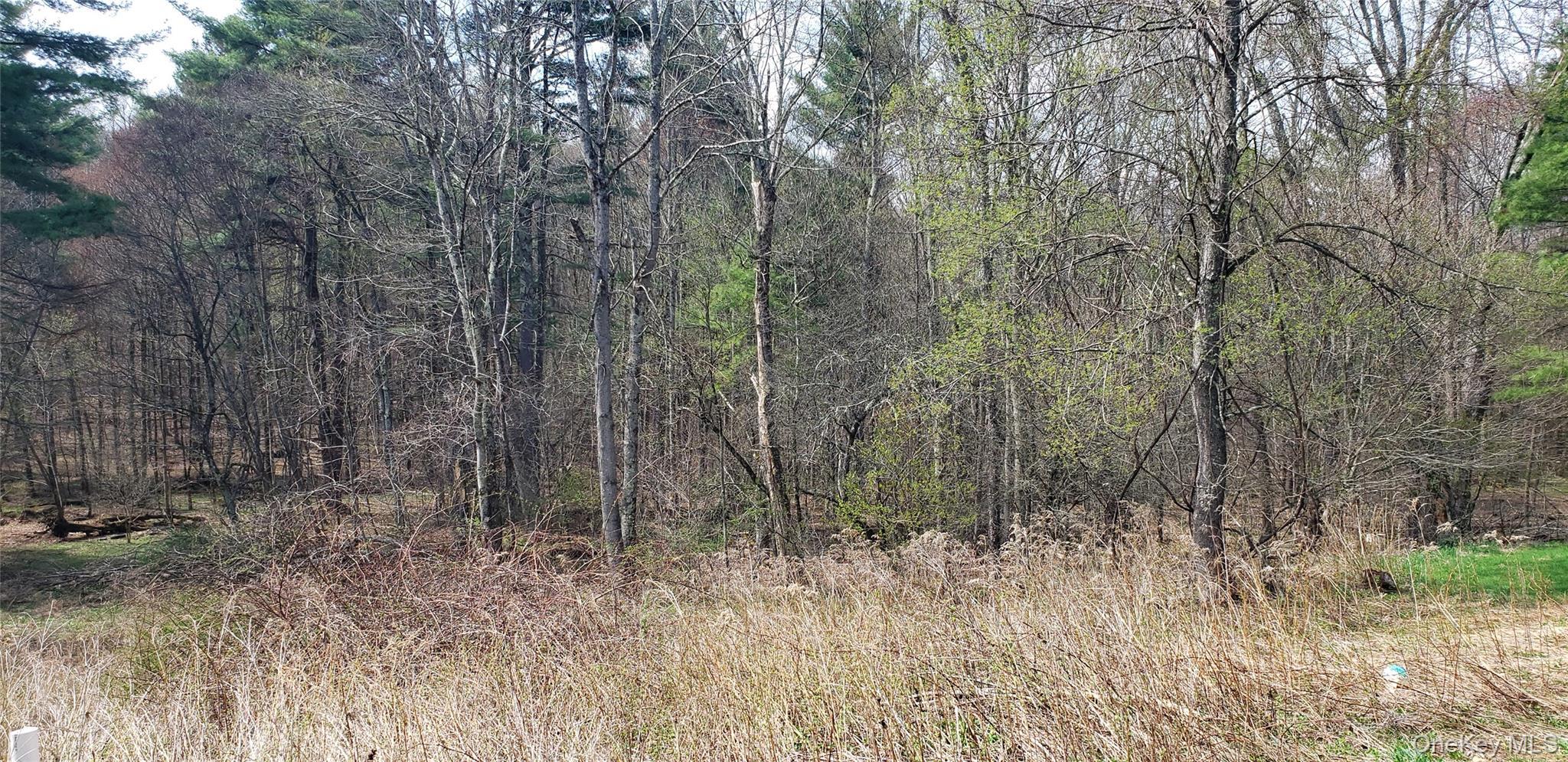 Single Family Harris Road  Sullivan County, NY 12742, MLS-1011409-20
