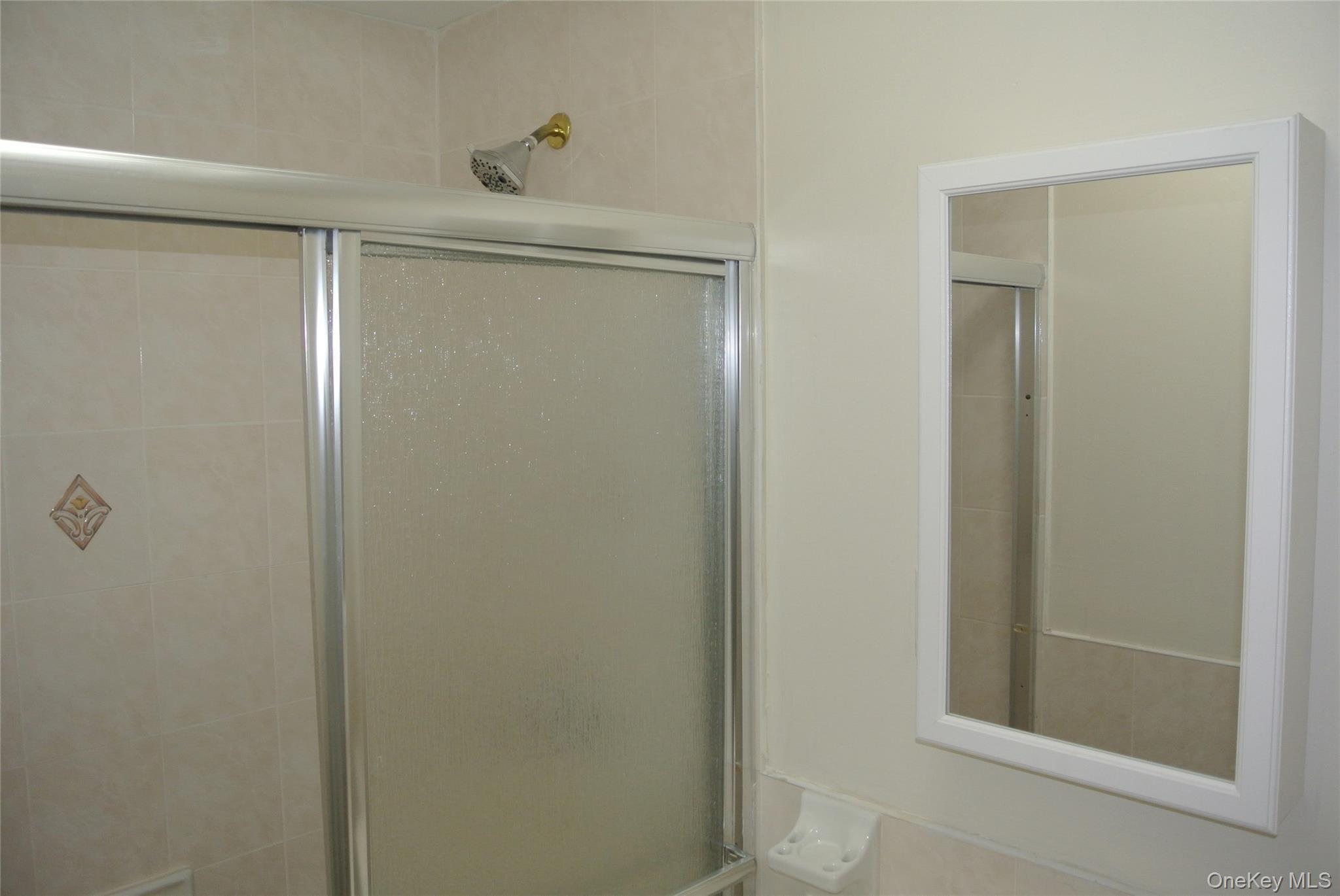 Apartment East 29th  Brooklyn, NY 11226, MLS-1011422-12