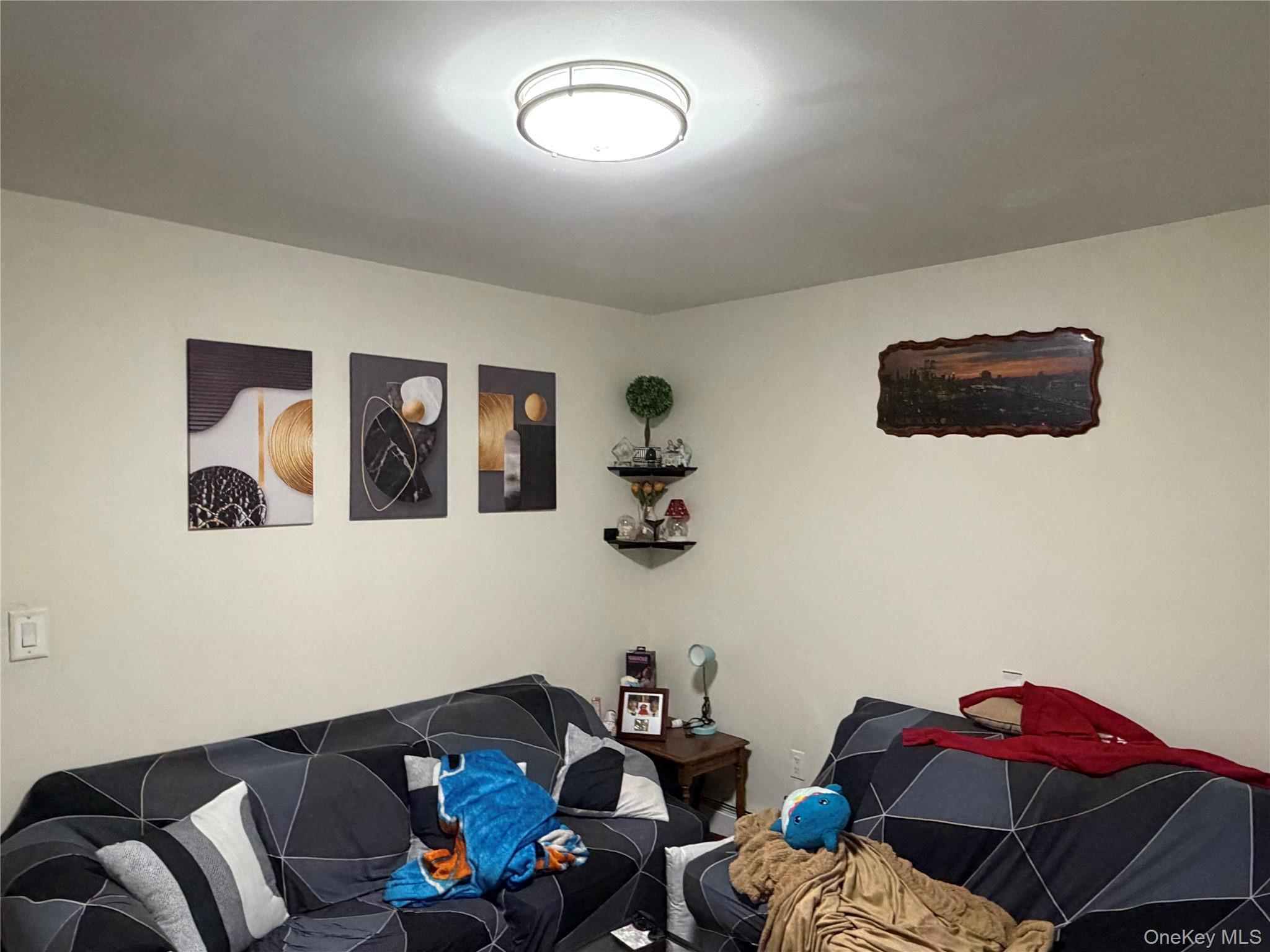 Single Family 134th Street Queens, NY 11420, MLS-1011424-3