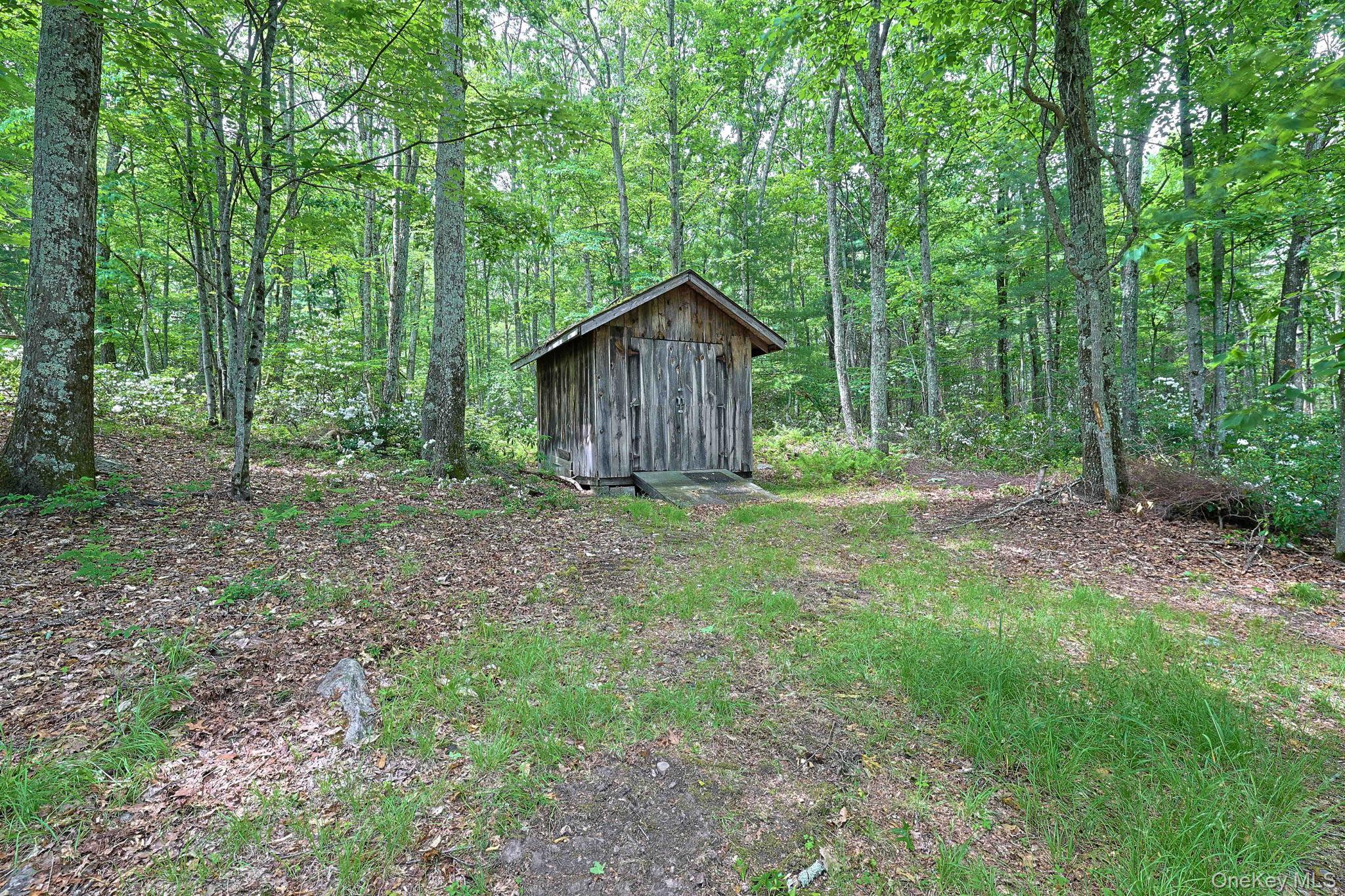 Single Family Finkle Road Sullivan County, NY 12790, MLS-1011482-32