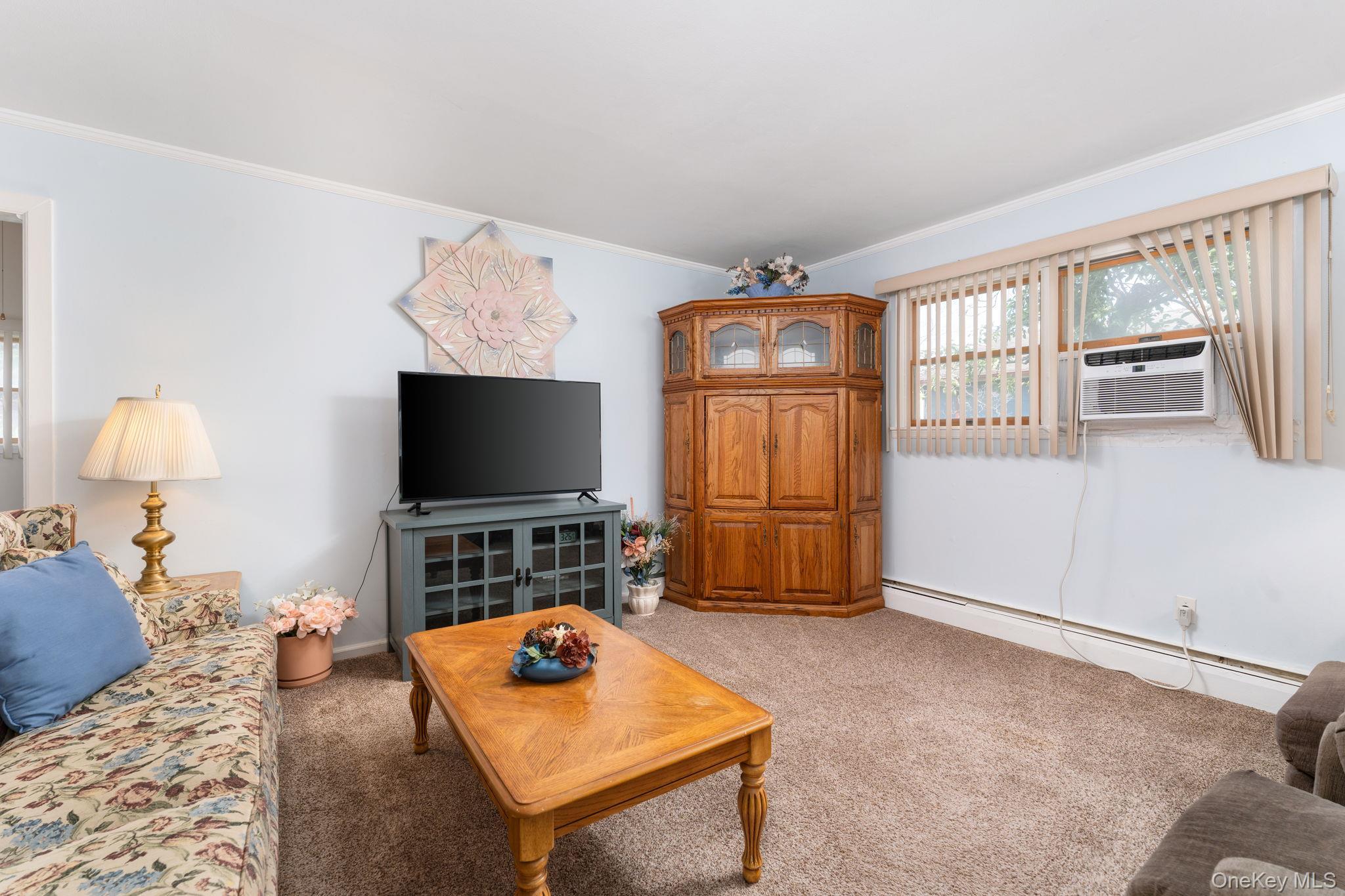 Single Family Stuyvesant Drive Suffolk County, NY 11776, MLS-1011489-9