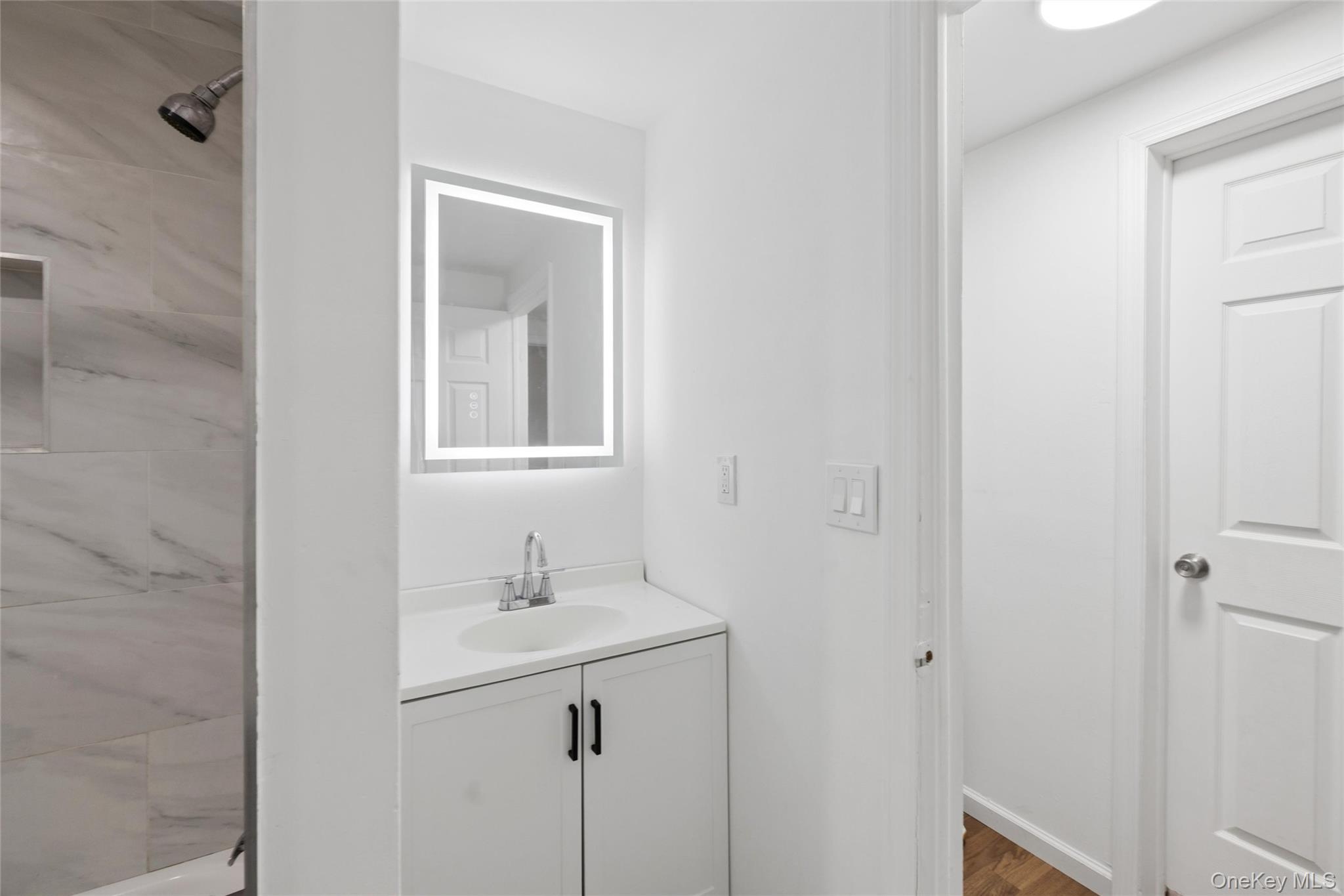 Single Family Arlington Avenue Suffolk County, NY 11798, MLS-1011732-21