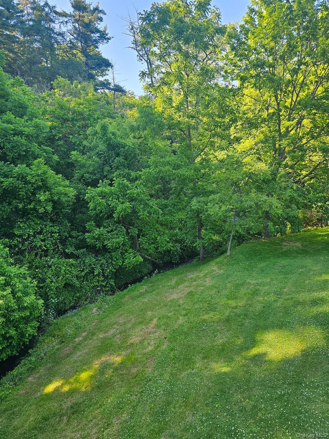 Single Family Wilbur Avenue Ulster County, NY 12401, MLS-1011812-31