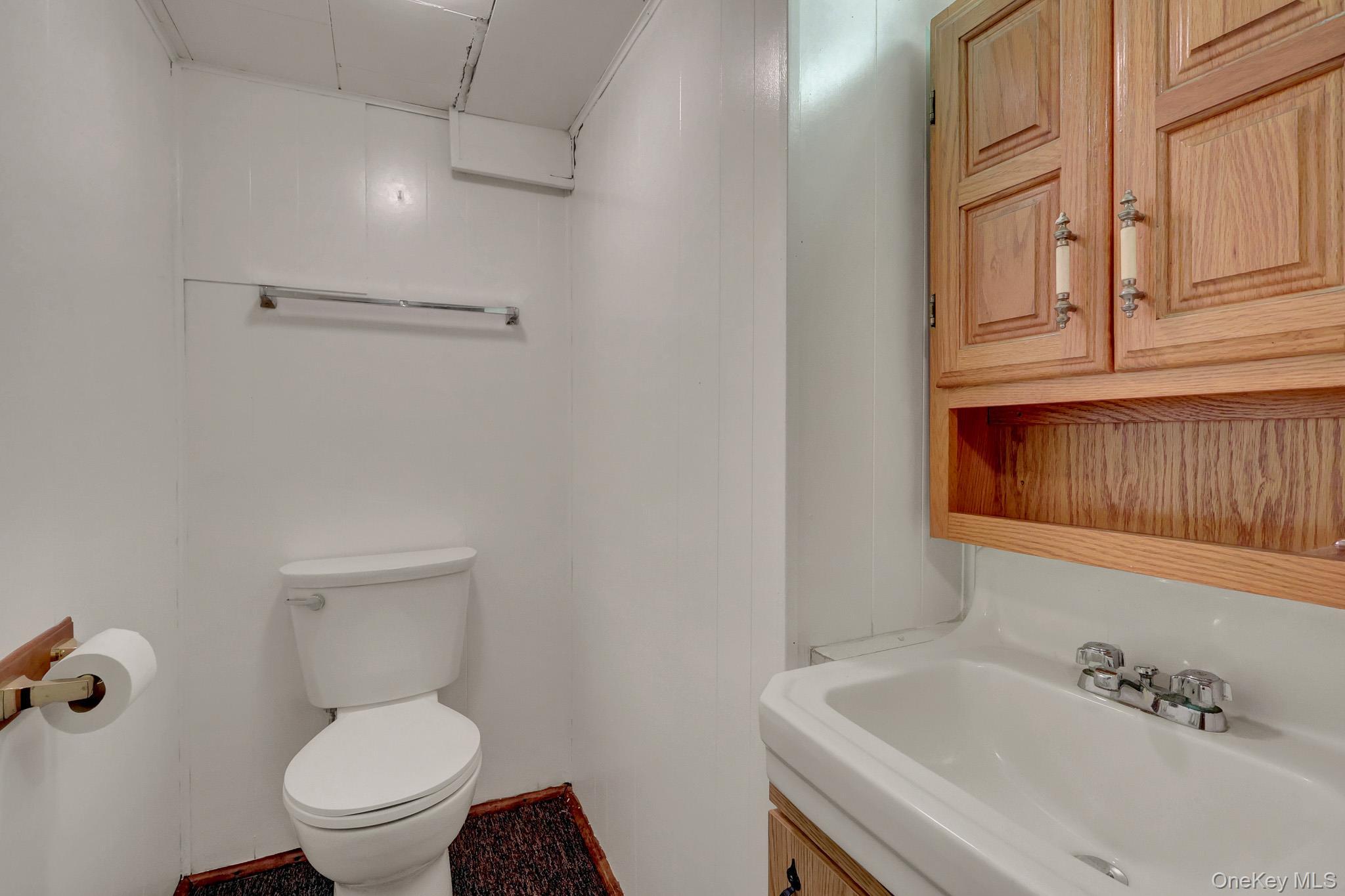 Single Family Mcalester Avenue  Nassau County, NY 11801, MLS-1011817-16