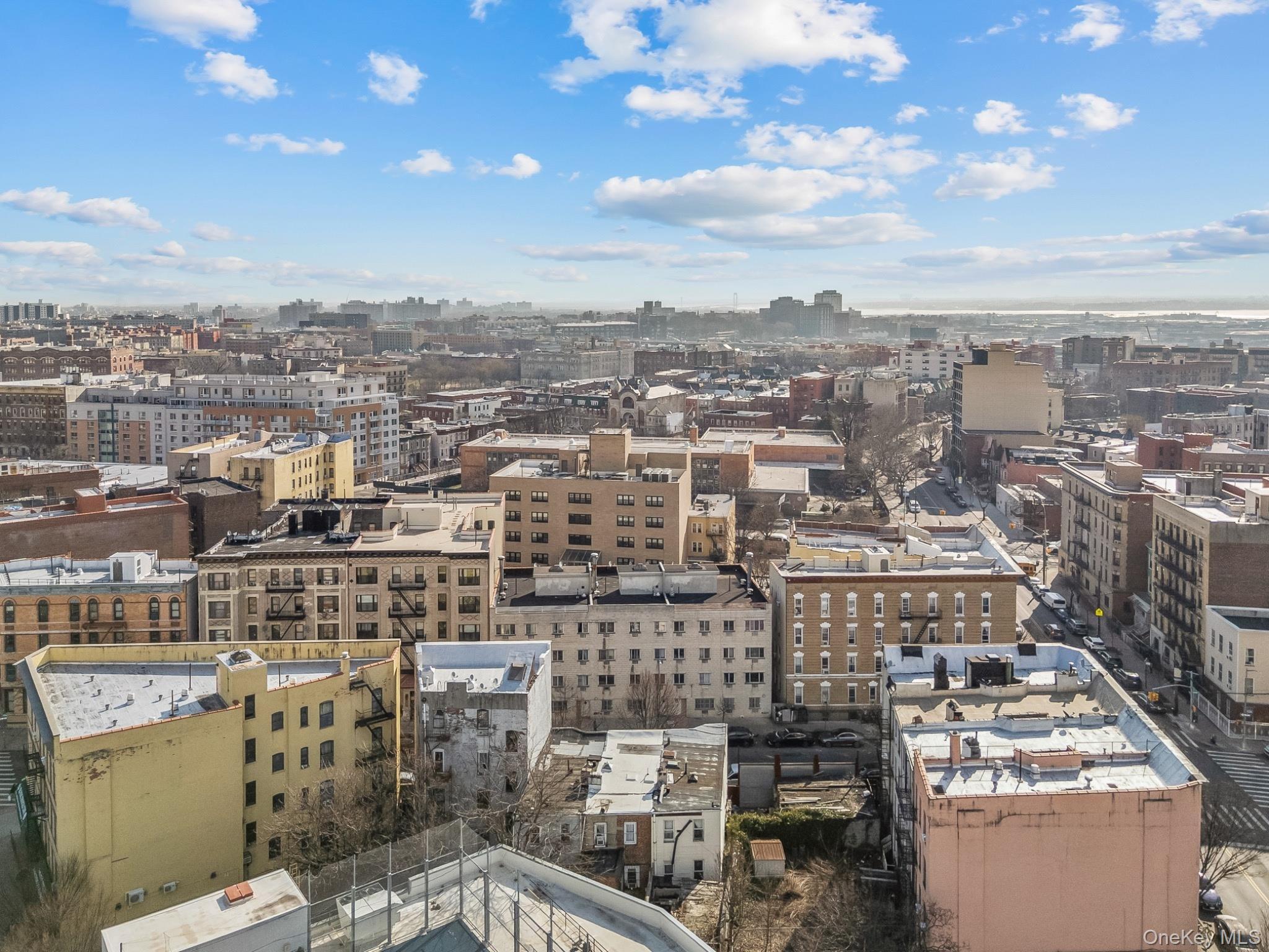 Single Family Union Avenue  Bronx, NY 10455, MLS-1011825-21
