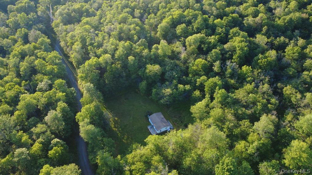 Single Family Log Road  Sullivan County, NY 12768, MLS-1011911-18