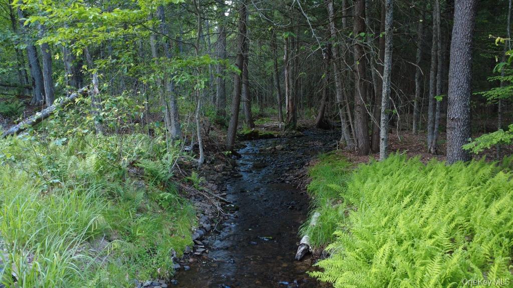 Single Family Log Road  Sullivan County, NY 12768, MLS-1011911-2