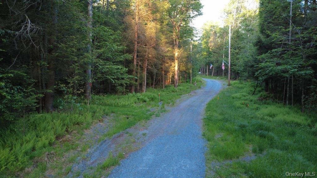 Single Family Log Road  Sullivan County, NY 12768, MLS-1011911-23