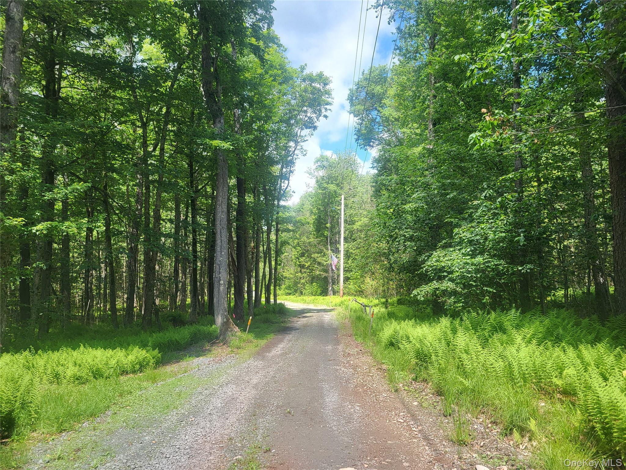 Single Family Log Road  Sullivan County, NY 12768, MLS-1011911-24