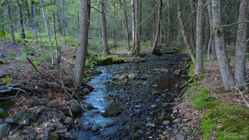 Single Family Log Road  Sullivan County, NY 12768, MLS-1011911-25