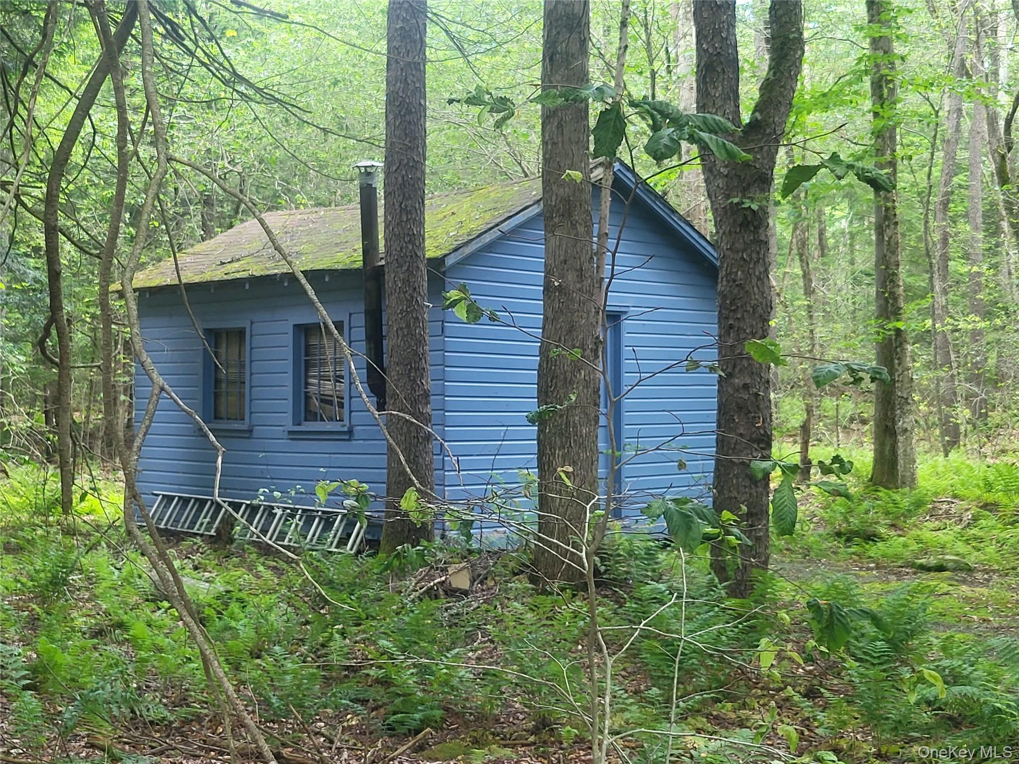 Single Family Log Road  Sullivan County, NY 12768, MLS-1011911-26