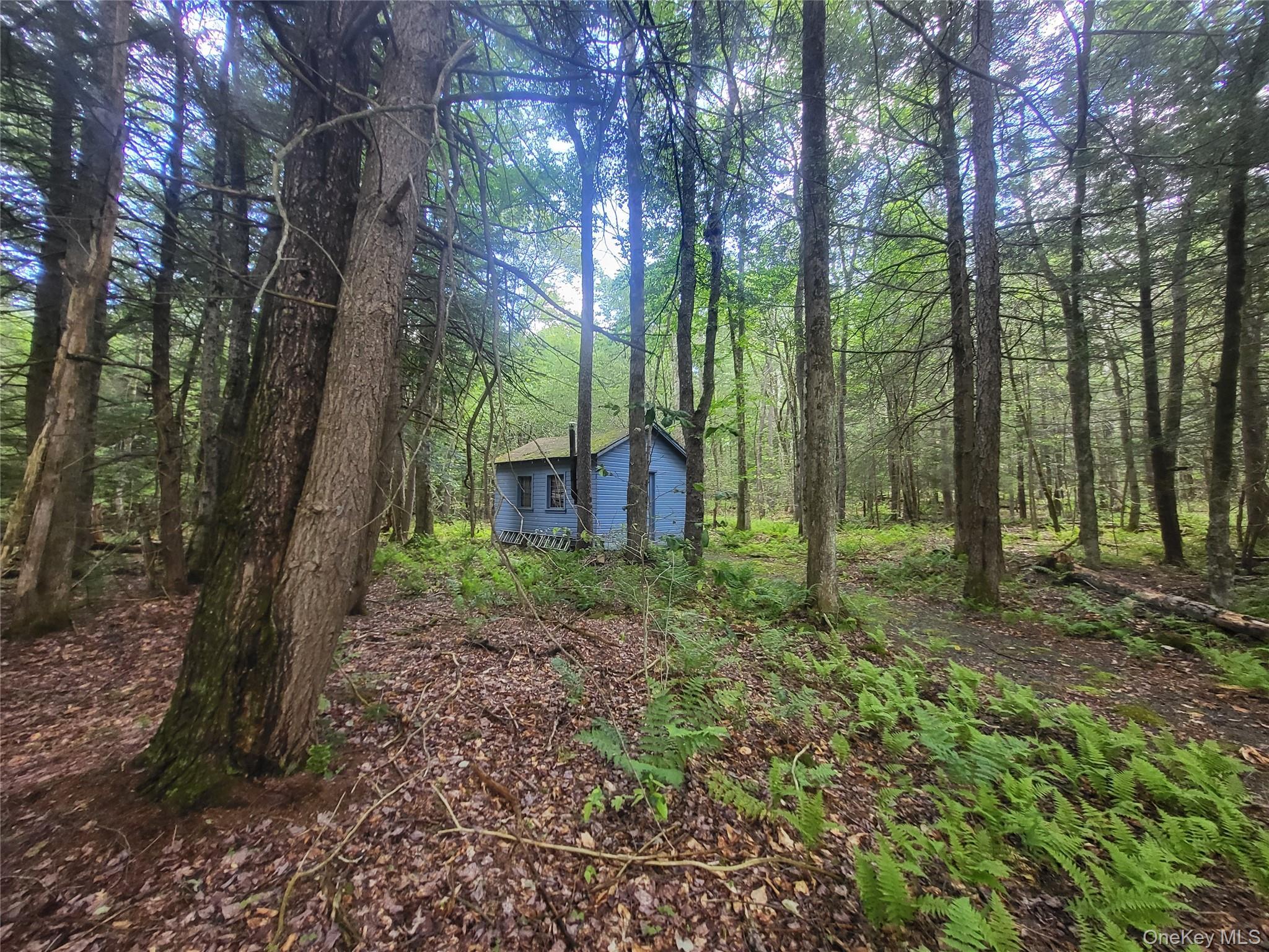 Single Family Log Road  Sullivan County, NY 12768, MLS-1011911-27