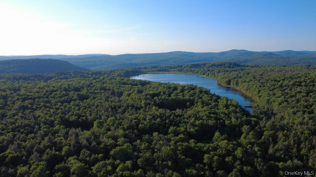 Single Family Log Road  Sullivan County, NY 12768, MLS-1011911-3