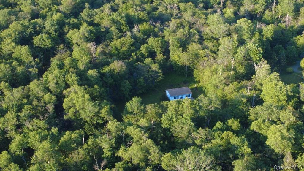 Single Family Log Road  Sullivan County, NY 12768, MLS-1011911-30