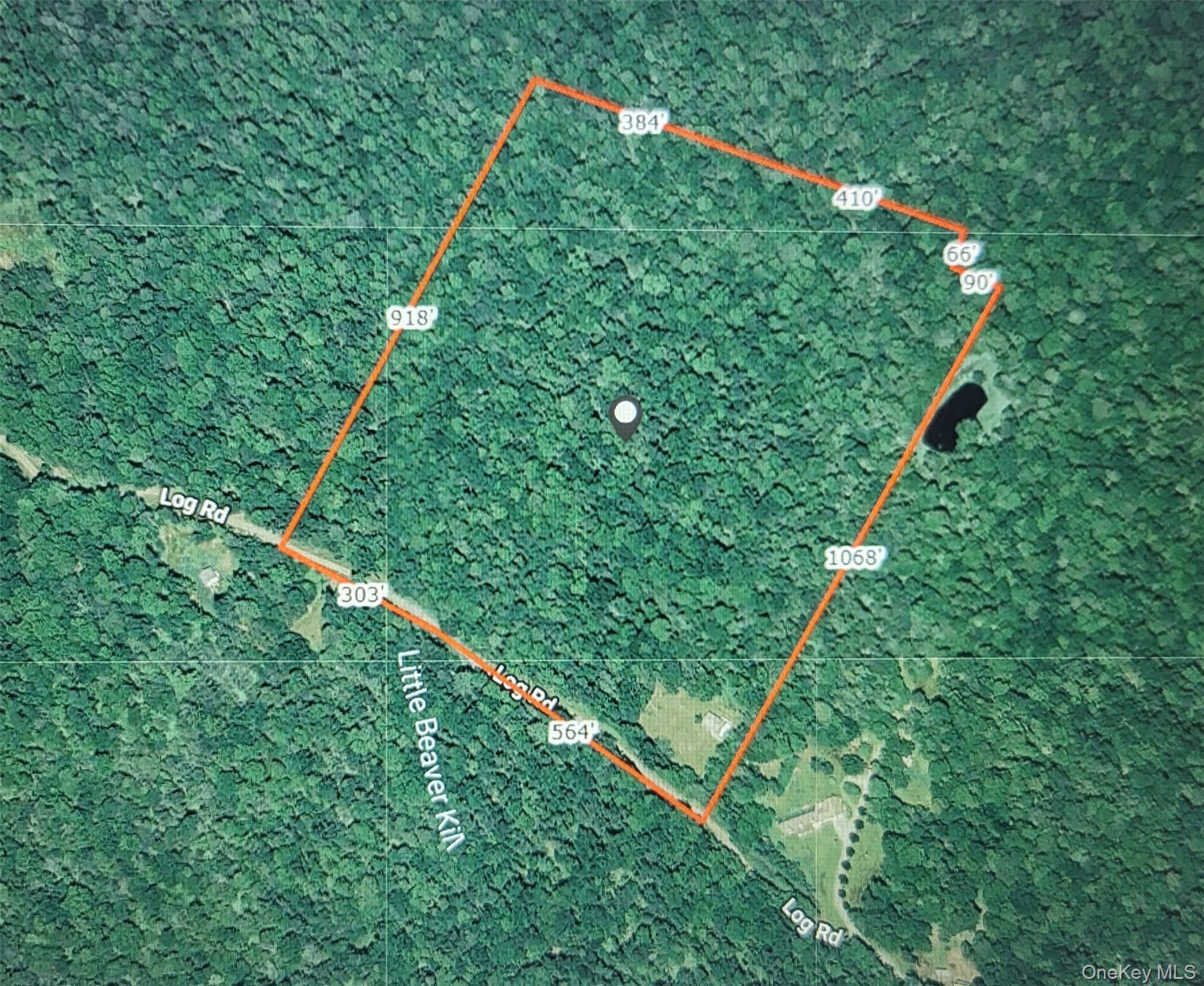 Single Family Log Road  Sullivan County, NY 12768, MLS-1011911-31