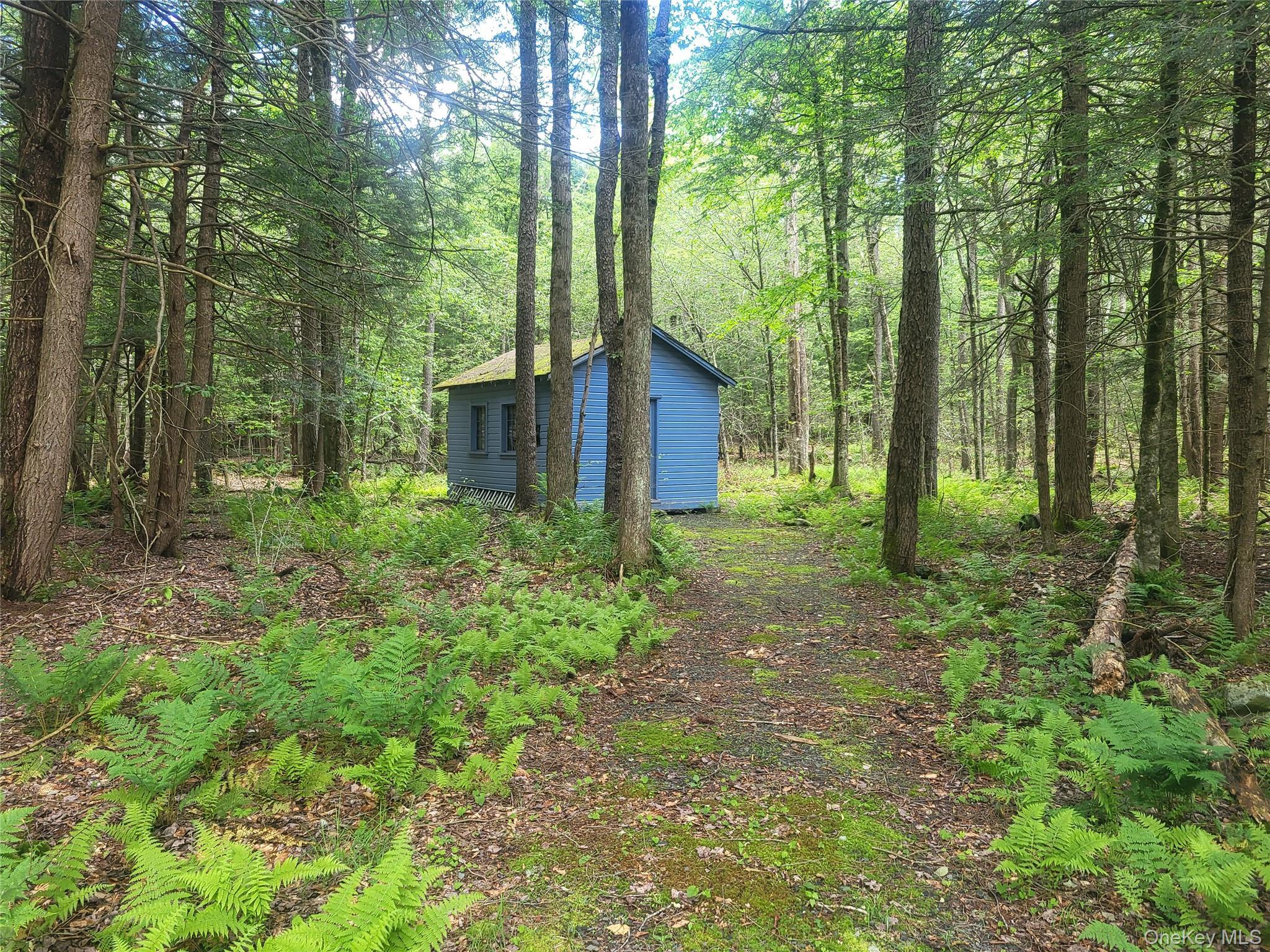 Single Family Log Road  Sullivan County, NY 12768, MLS-1011911-6
