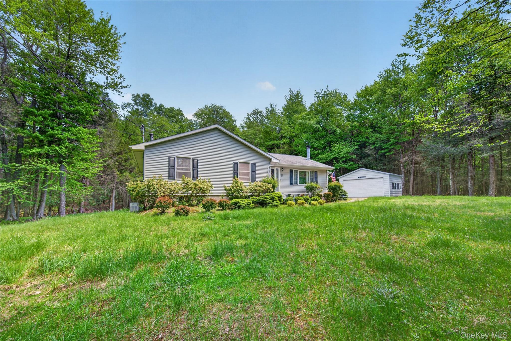 Single Family Bowers Road Sullivan County, NY 12775, MLS-1012054-3