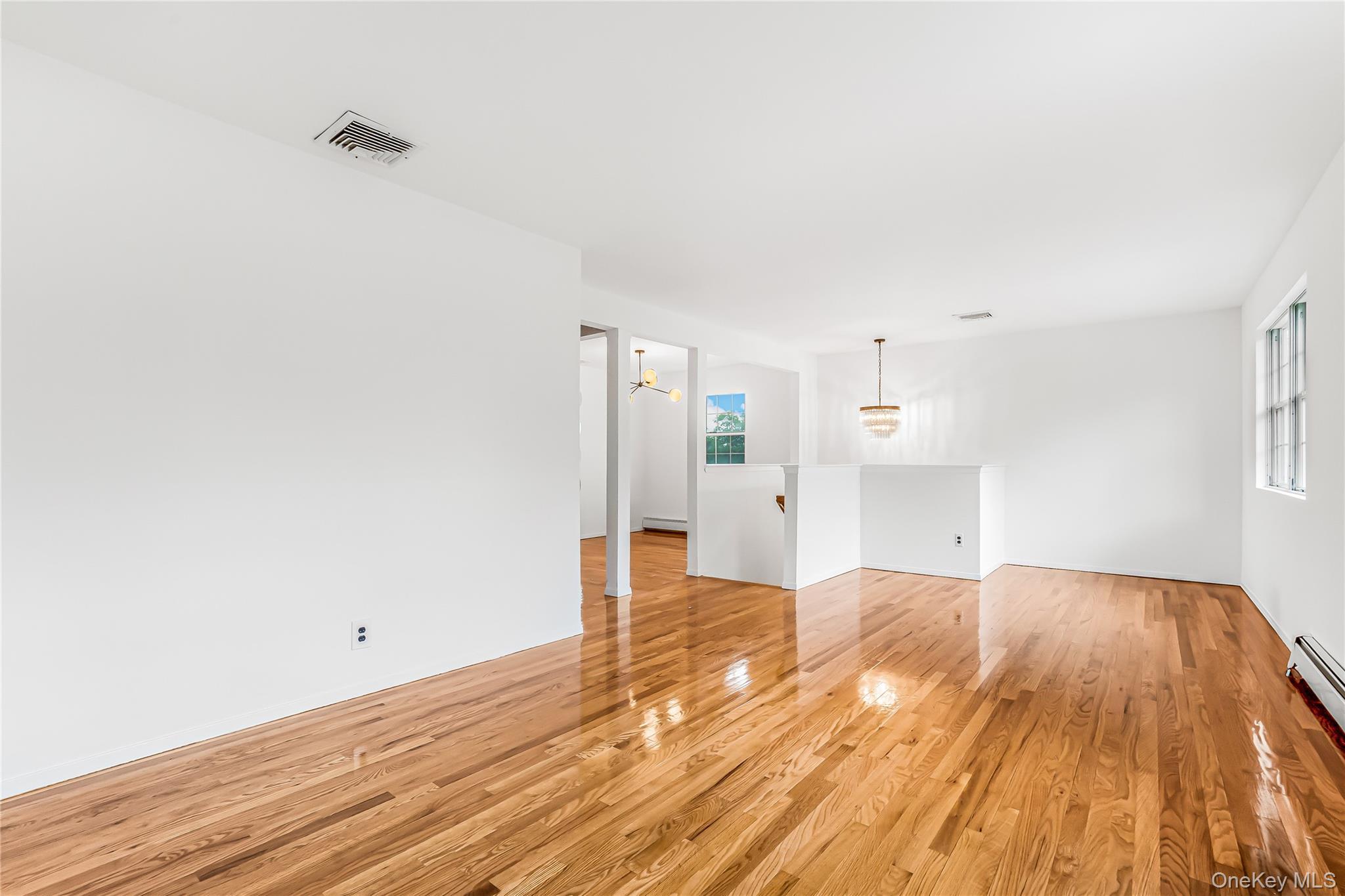 Single Family 8th Street Nassau County, NY 11040, MLS-1012060-10
