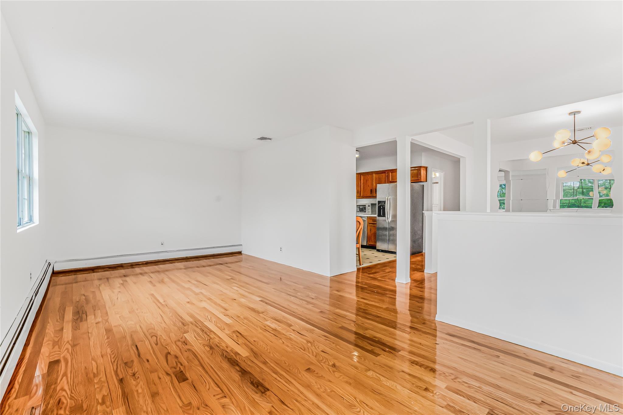 Single Family 8th Street Nassau County, NY 11040, MLS-1012060-11