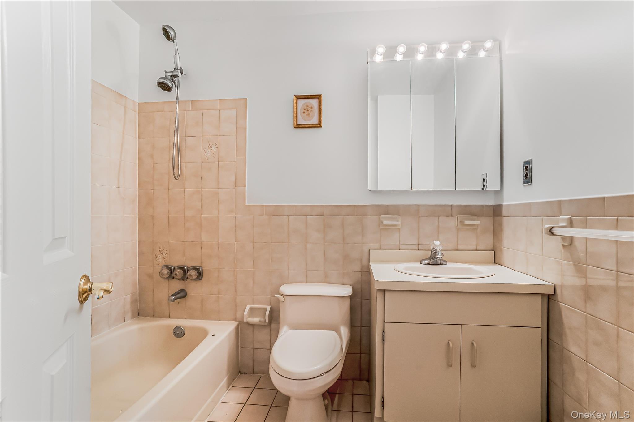 Single Family 8th Street Nassau County, NY 11040, MLS-1012060-6