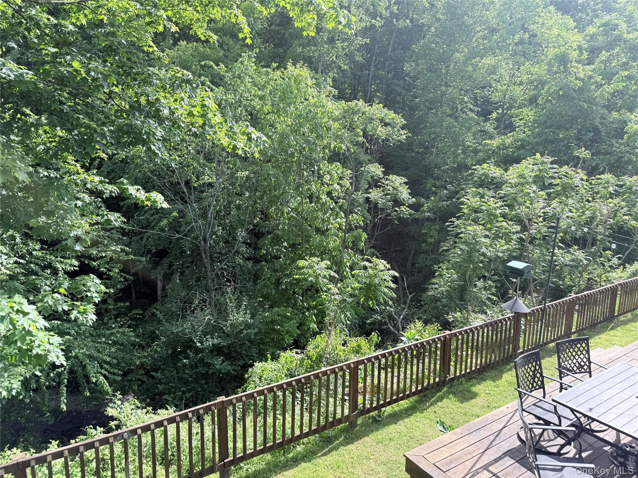 Single Family Walker Street Orange County, NY 10963, MLS-1012101-37