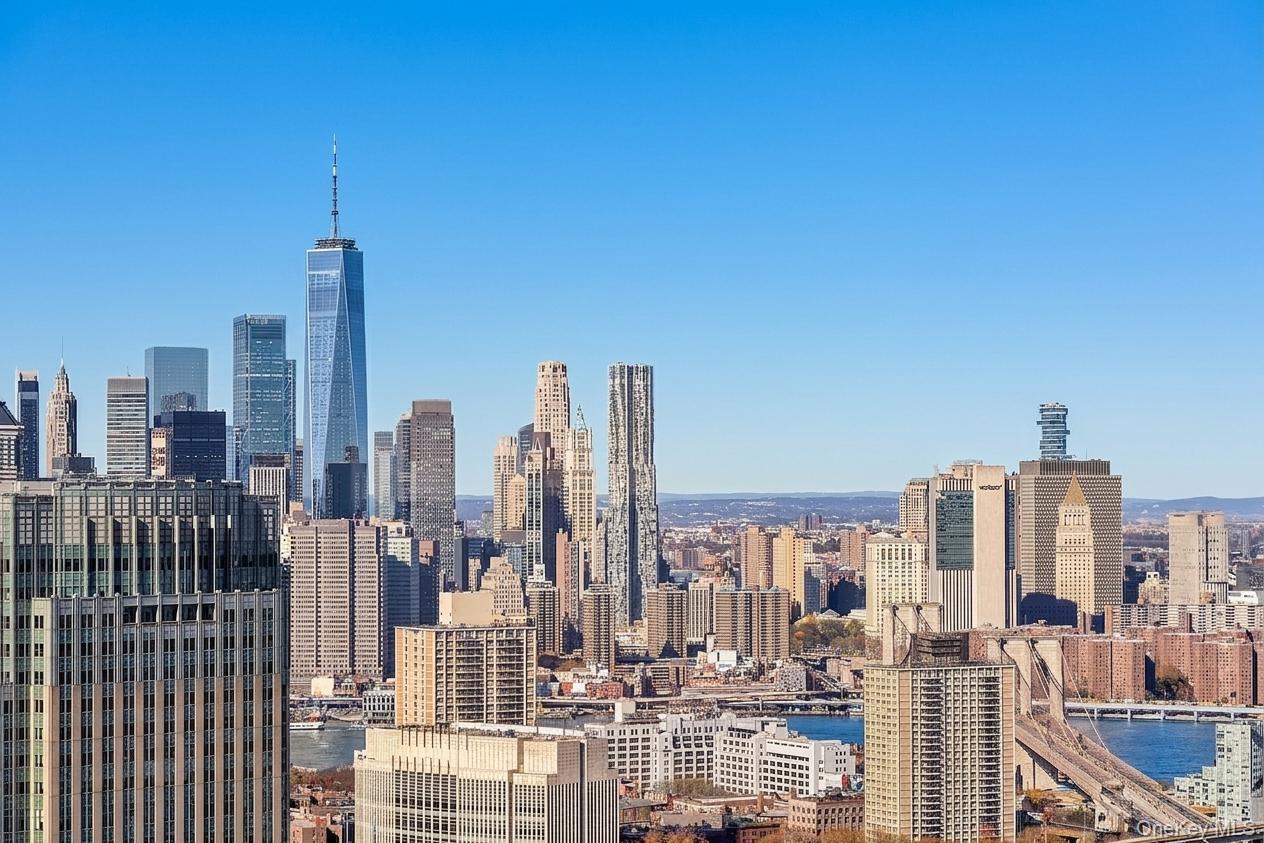 Condo Willoughby Street  Brooklyn, NY 11201, MLS-1012112-10