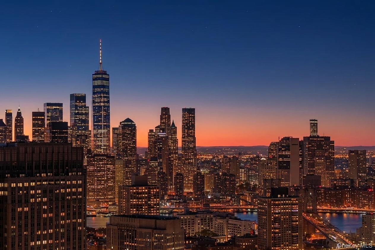 Condo Willoughby Street  Brooklyn, NY 11201, MLS-1012112-13