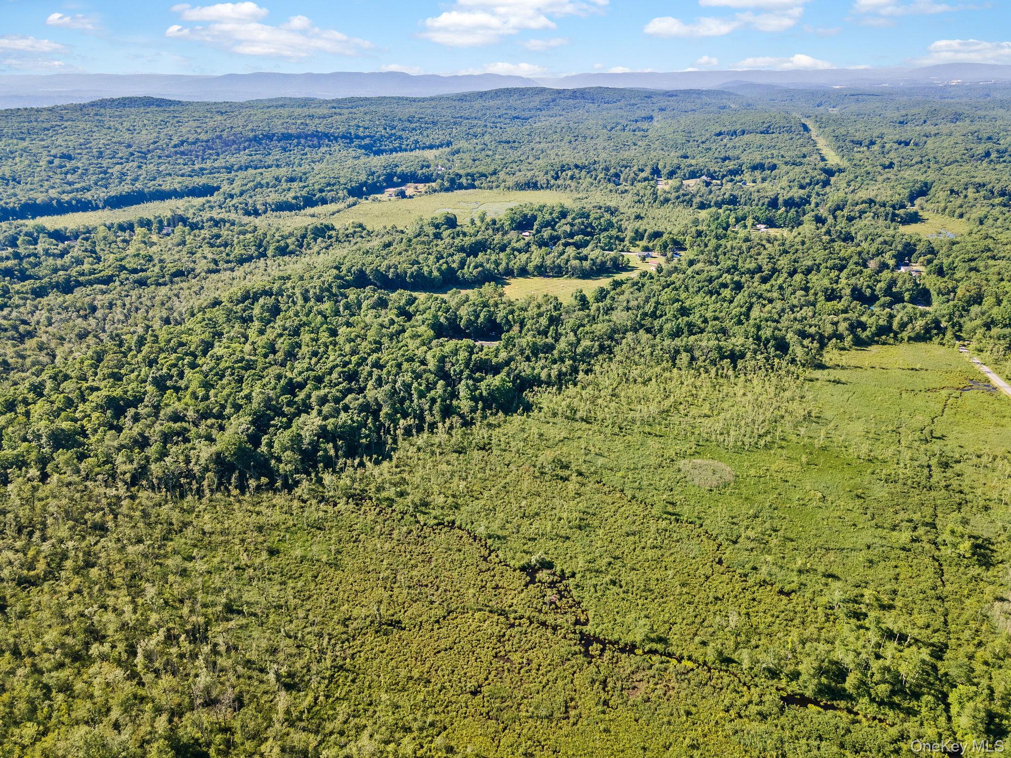 Single Family Cotter Road  Ulster County, NY 12528, MLS-1012123-38