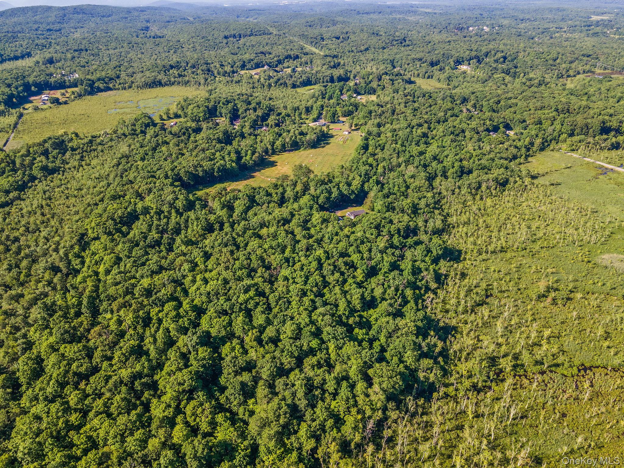 Single Family Cotter Road  Ulster County, NY 12528, MLS-1012123-39