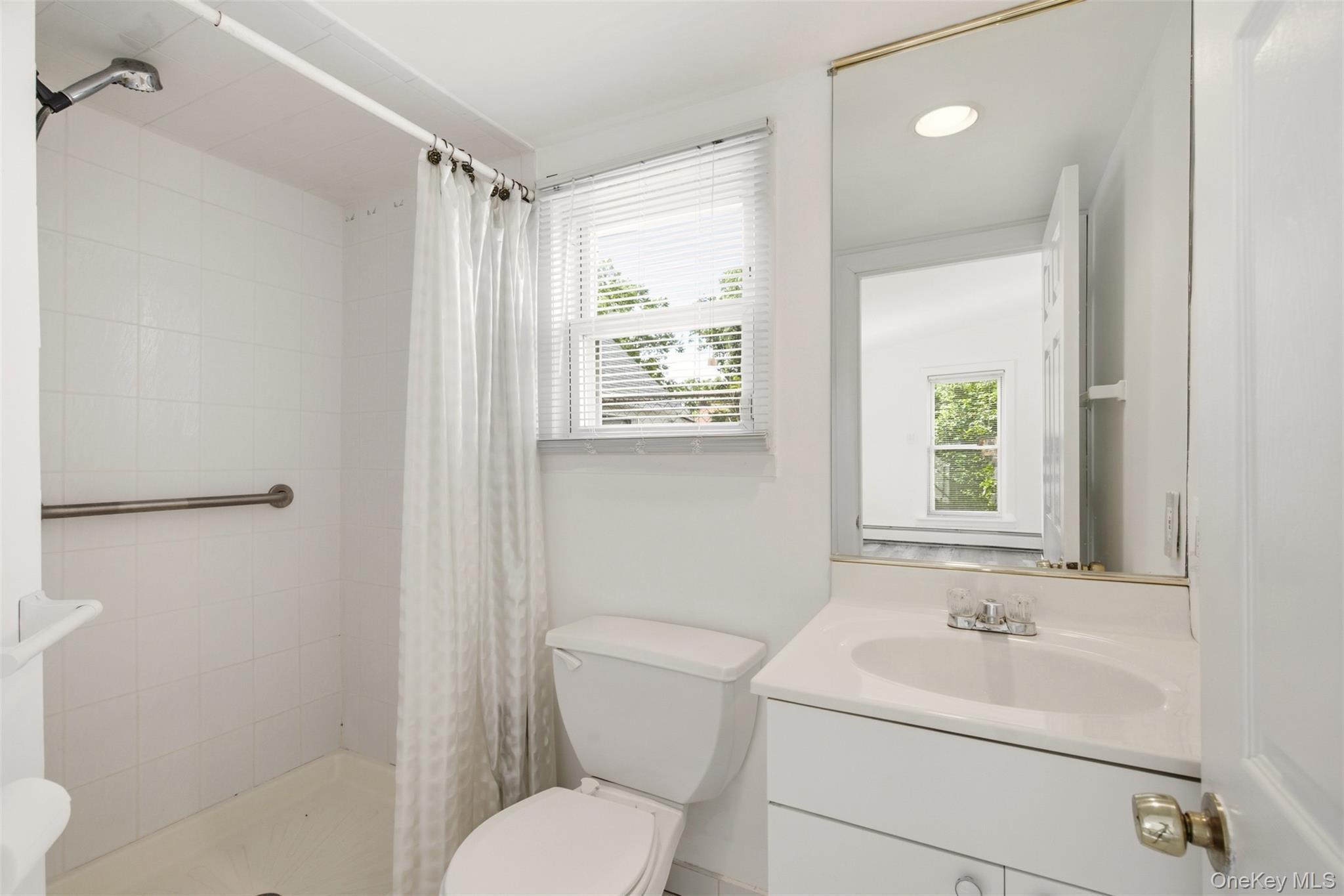 Single Family Fulton Street Nassau County, NY 11590, MLS-1012210-13