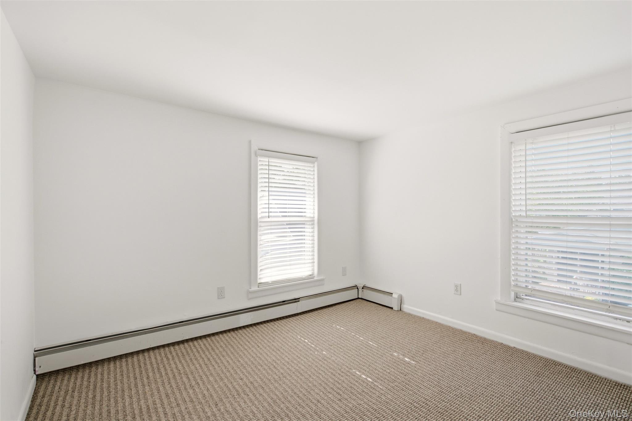 Single Family Fulton Street Nassau County, NY 11590, MLS-1012210-16
