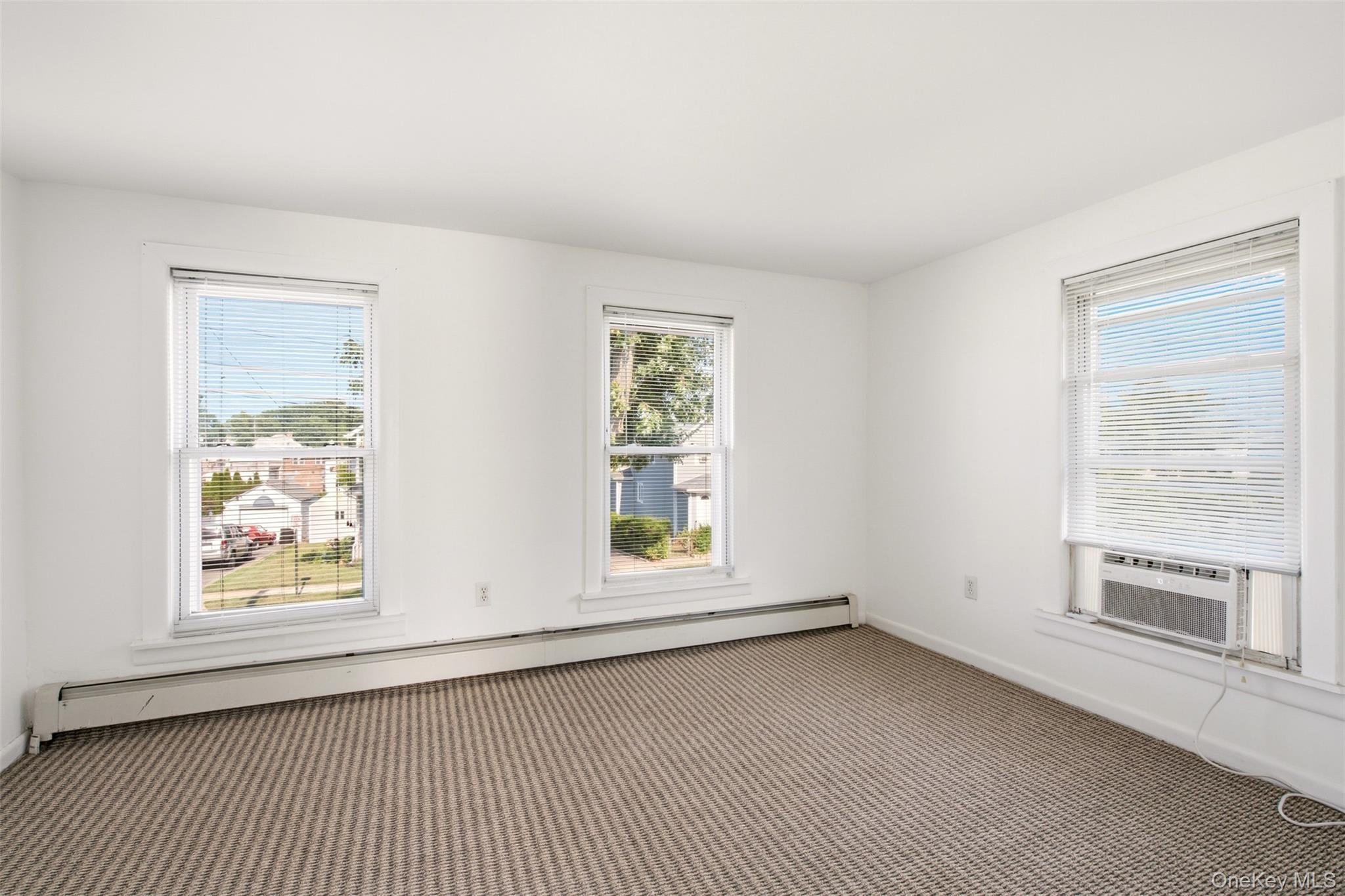Single Family Fulton Street Nassau County, NY 11590, MLS-1012210-19