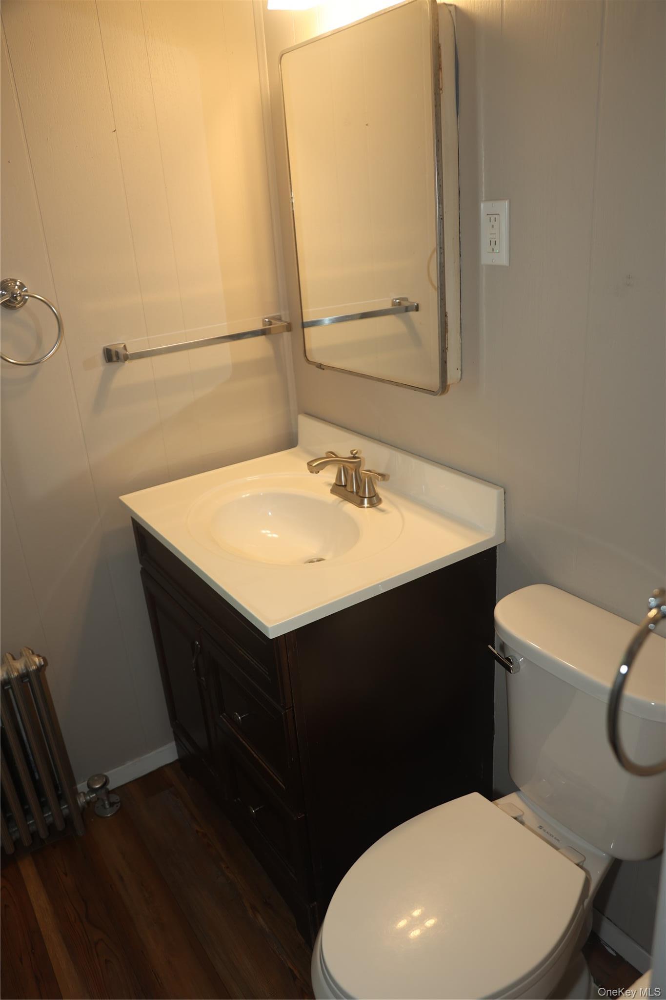 Single Family Alice Street Nassau County, NY 11566, MLS-1012290-10