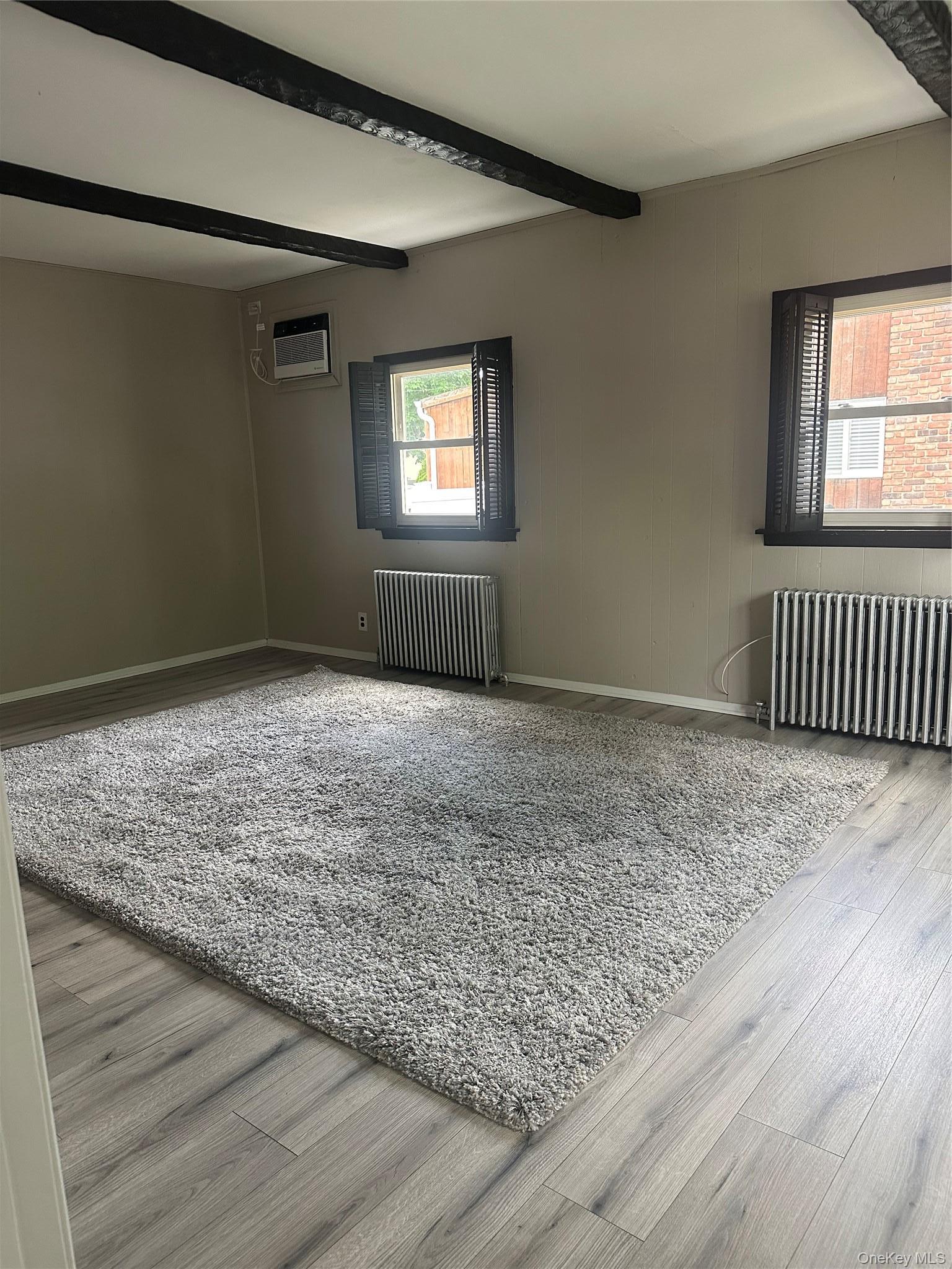 Single Family Alice Street Nassau County, NY 11566, MLS-1012290-5