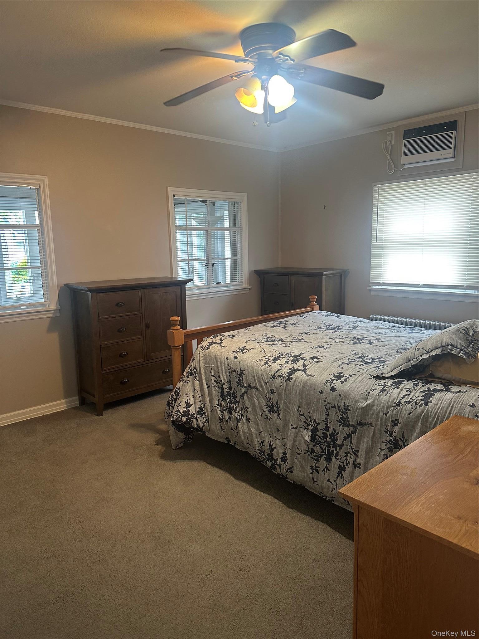 Single Family Alice Street Nassau County, NY 11566, MLS-1012290-7