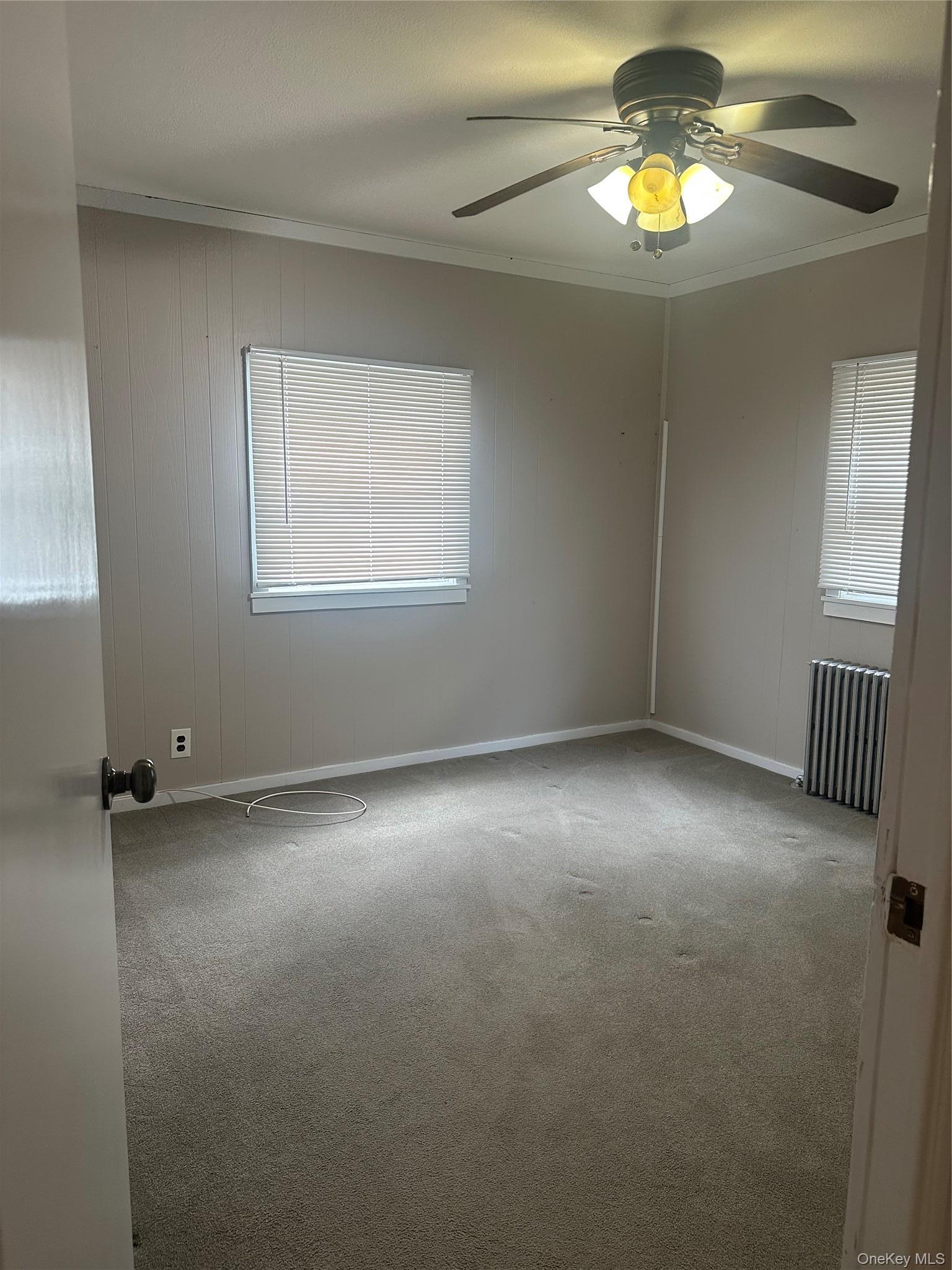 Single Family Alice Street Nassau County, NY 11566, MLS-1012290-8
