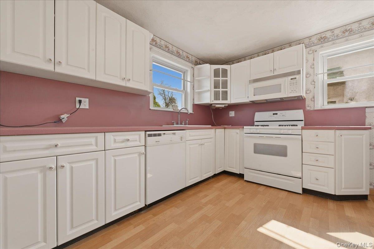 Single Family Moeller Street  Nassau County, NY 11801, MLS-1012376-13