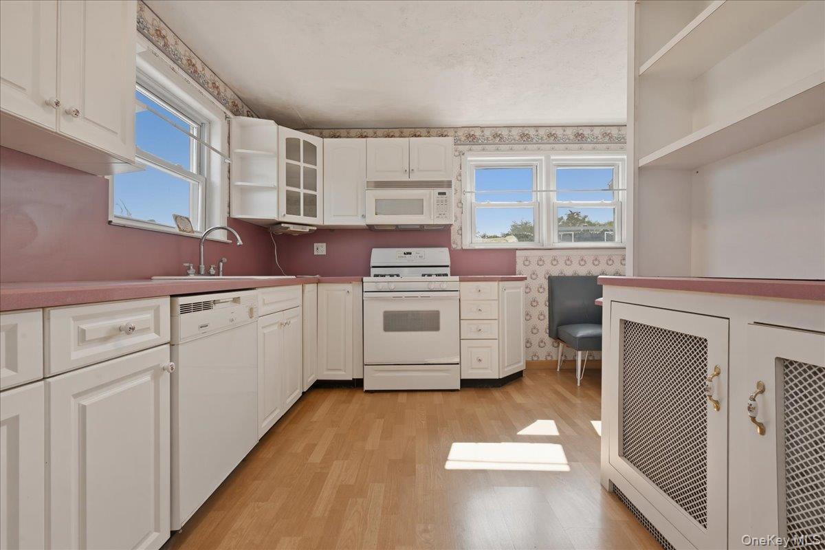 Single Family Moeller Street  Nassau County, NY 11801, MLS-1012376-14