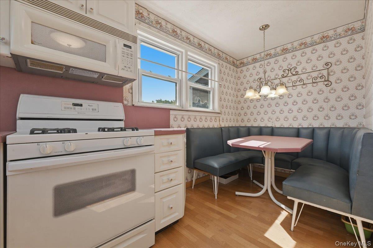 Single Family Moeller Street  Nassau County, NY 11801, MLS-1012376-15