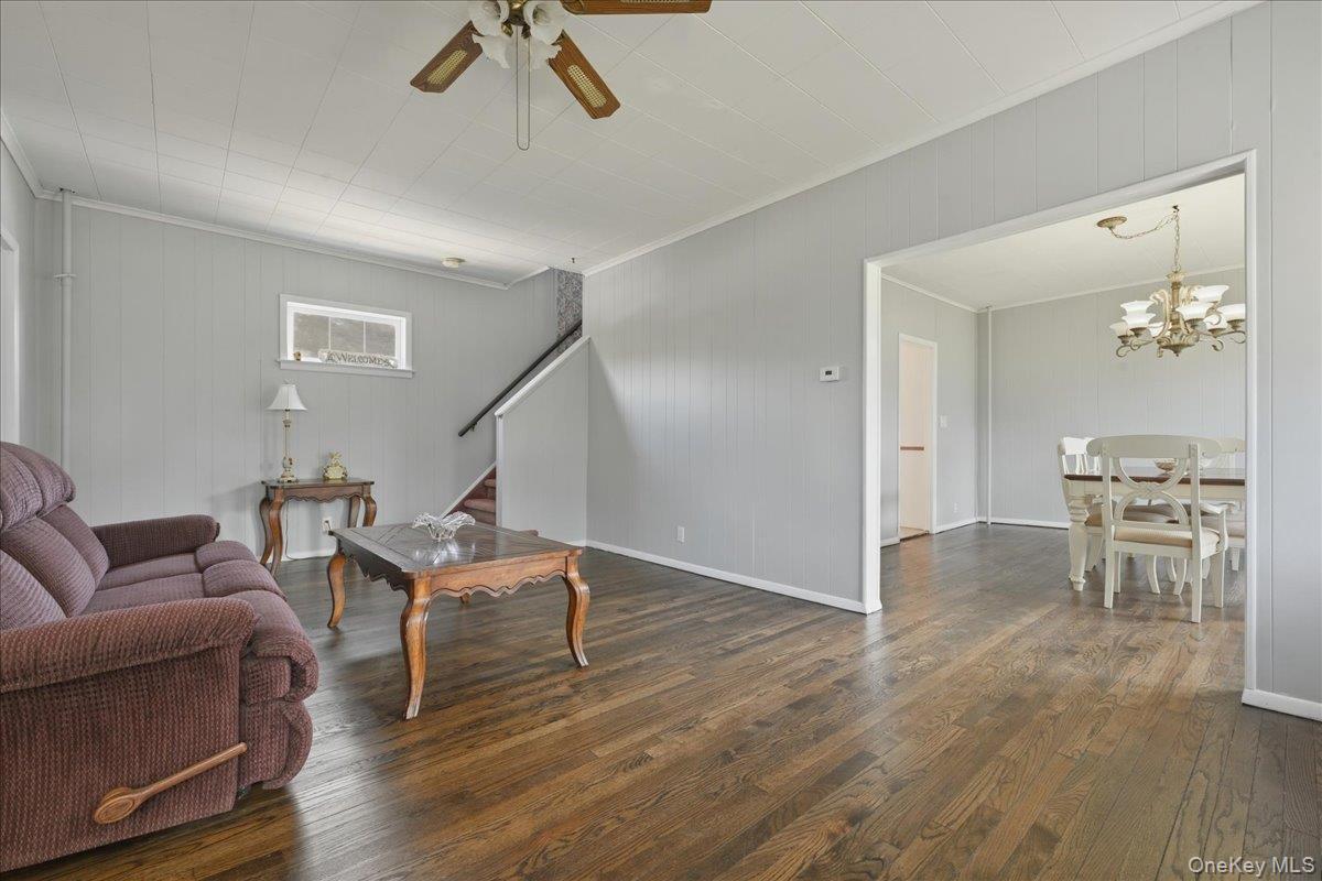 Single Family Moeller Street  Nassau County, NY 11801, MLS-1012376-7