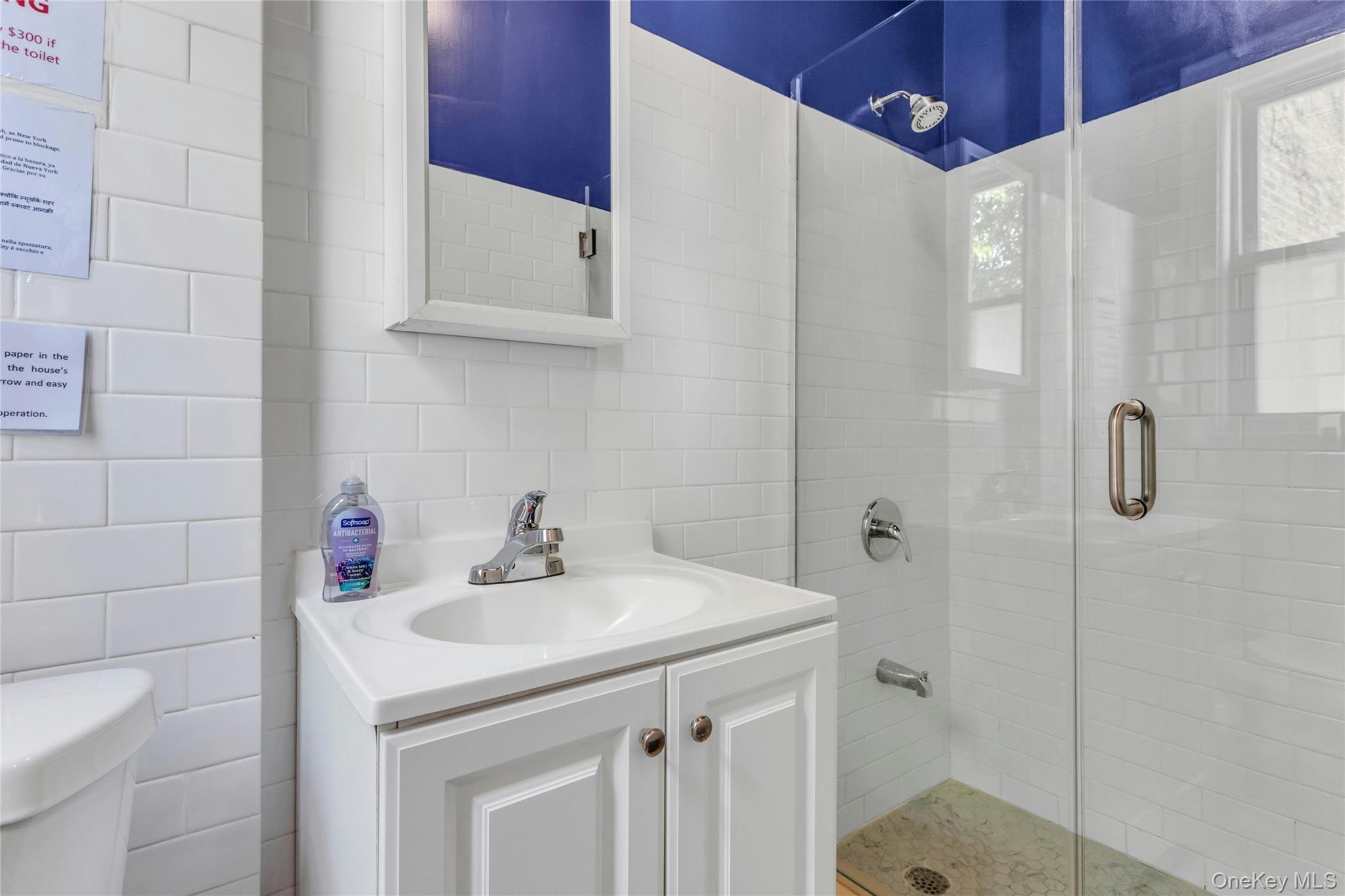 Single Family 65th Street Queens, NY 11377, MLS-1012384-14