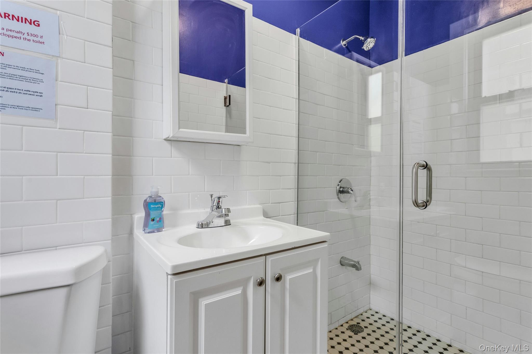 Single Family 65th Street Queens, NY 11377, MLS-1012384-26