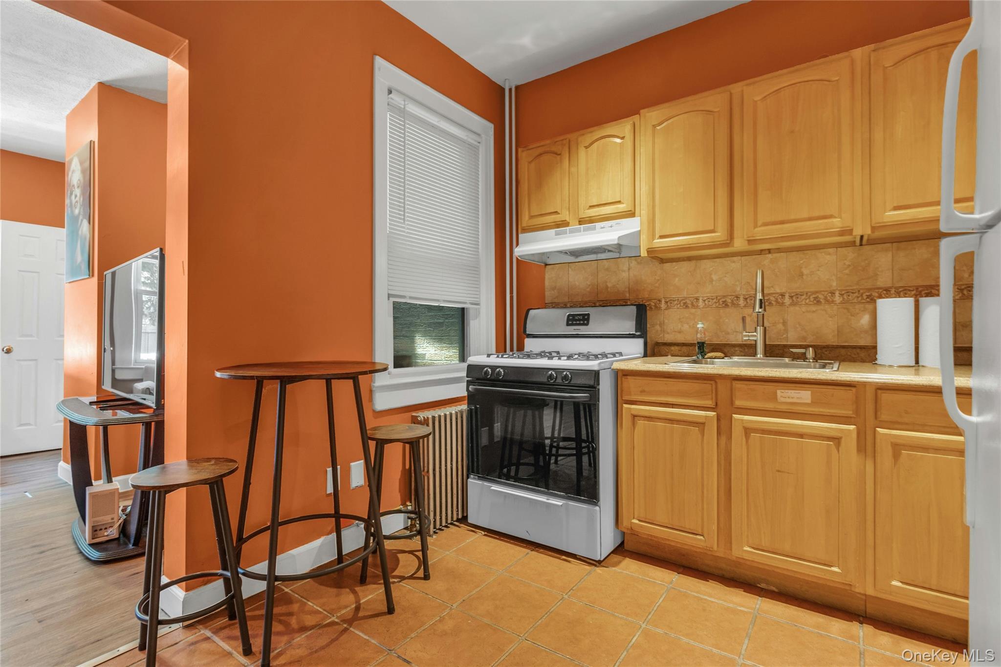 Single Family 65th Street Queens, NY 11377, MLS-1012384-9