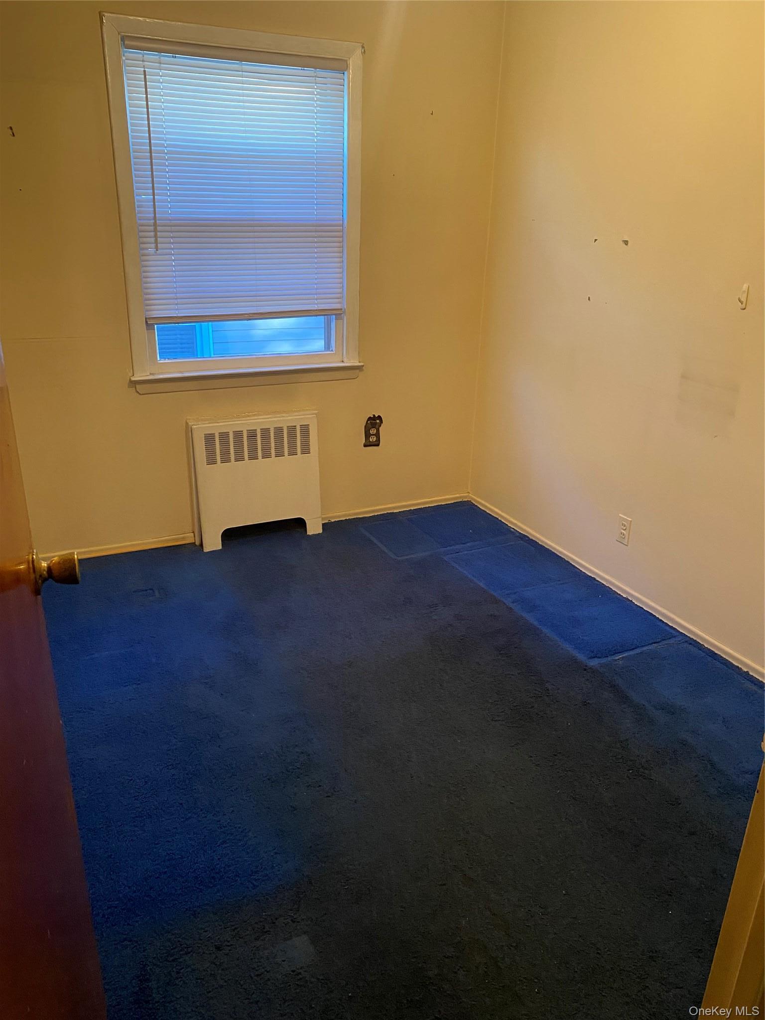 Single Family 137th  Queens, NY 11356, MLS-1012390-10