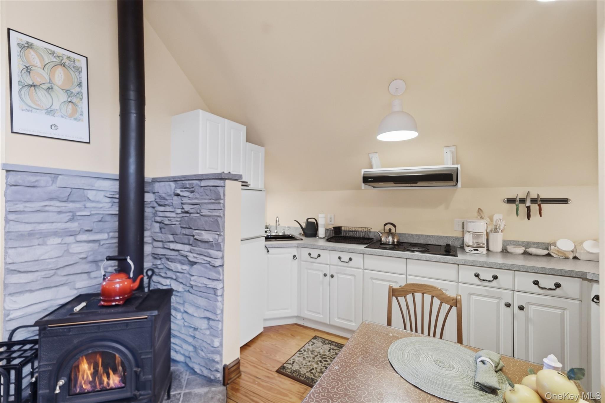 Single Family West Street  Ulster County, NY 12542, MLS-1012445-30